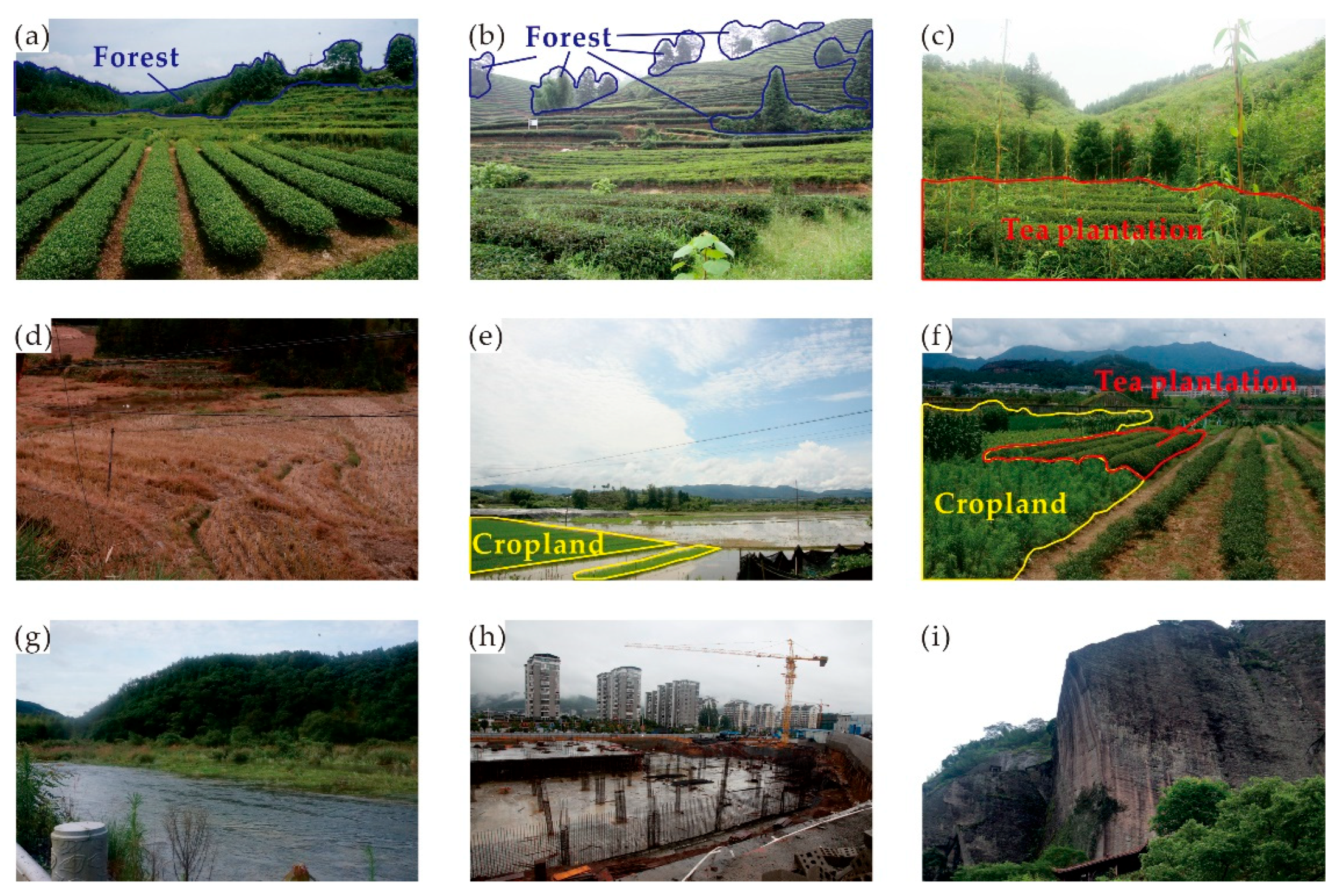 Forests 11 01357 g002