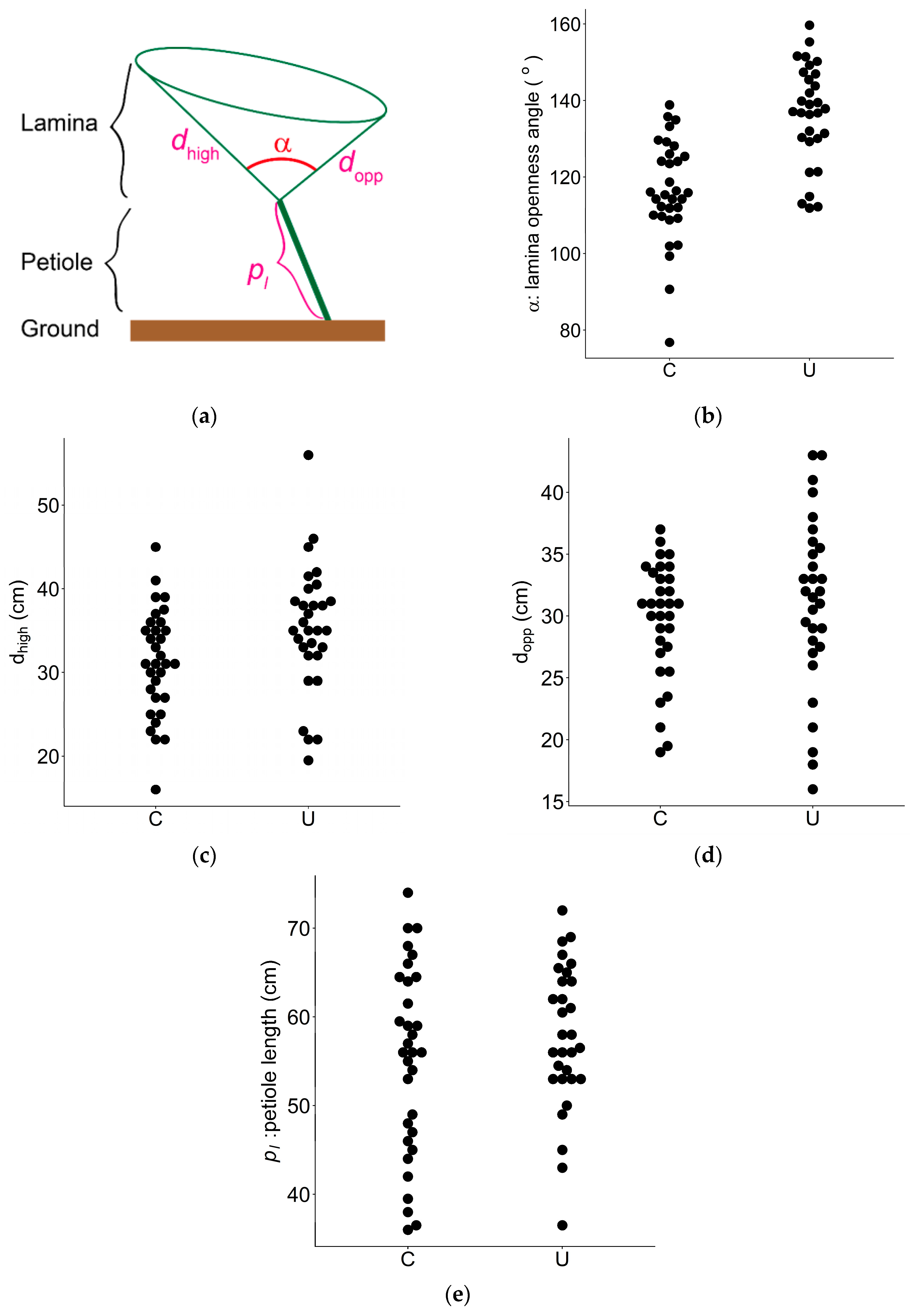 Forests 11 01365 g005