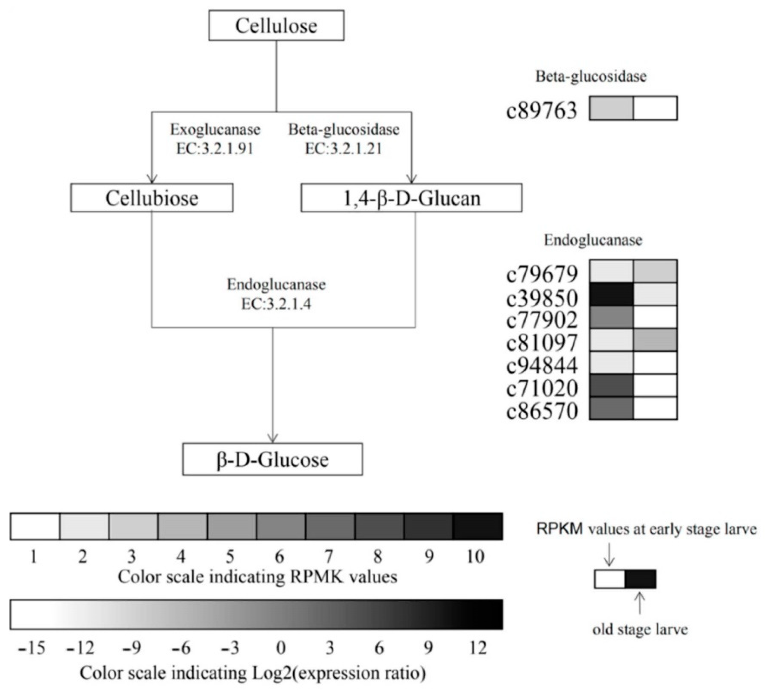 Forests 11 01372 g001