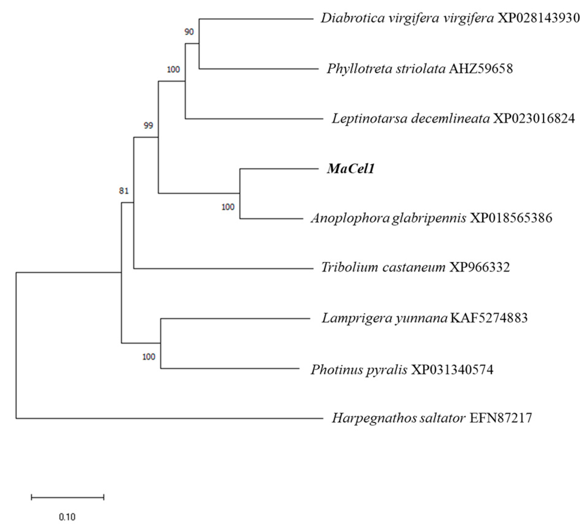 Forests 11 01372 g004
