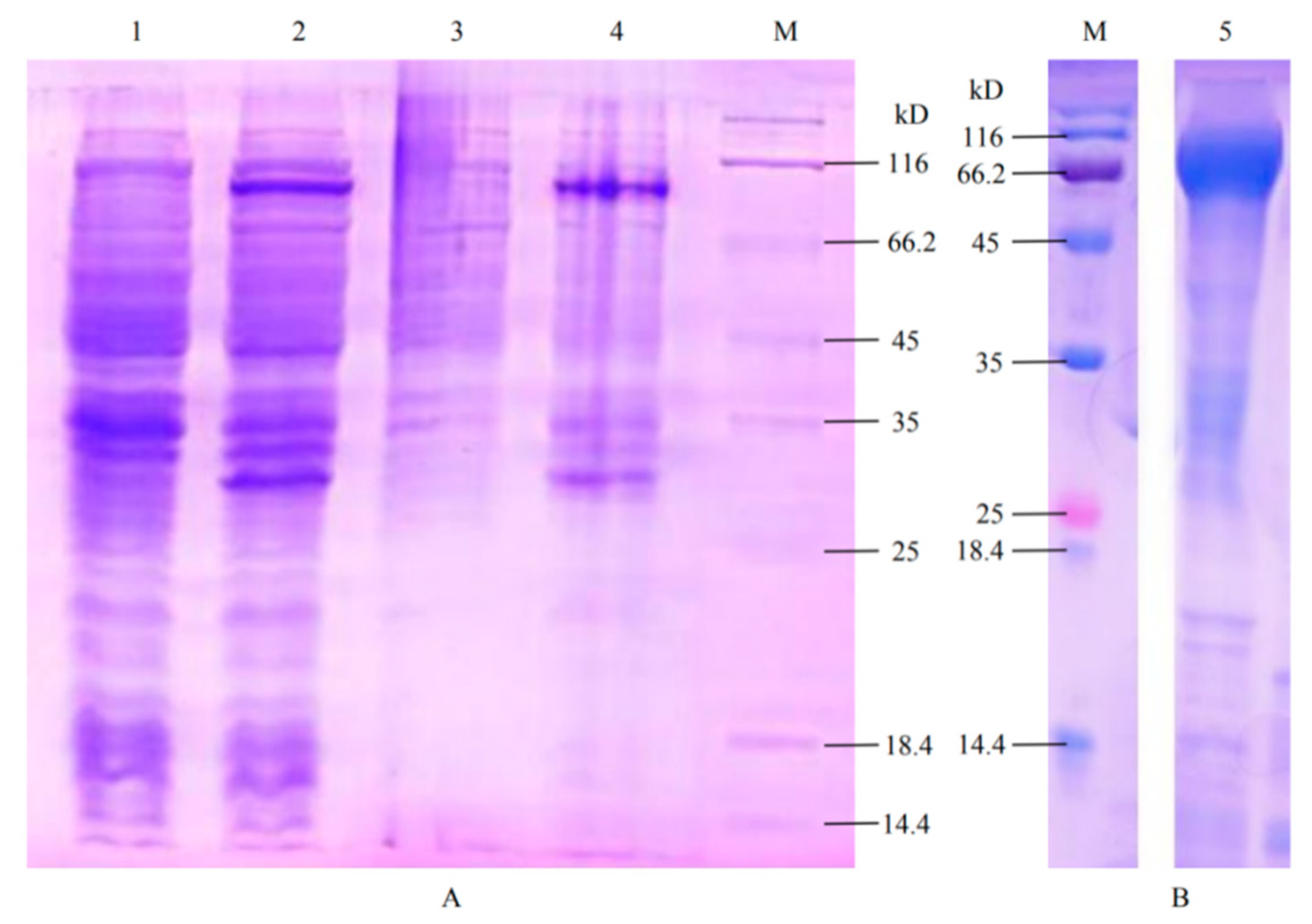 Forests 11 01372 g005