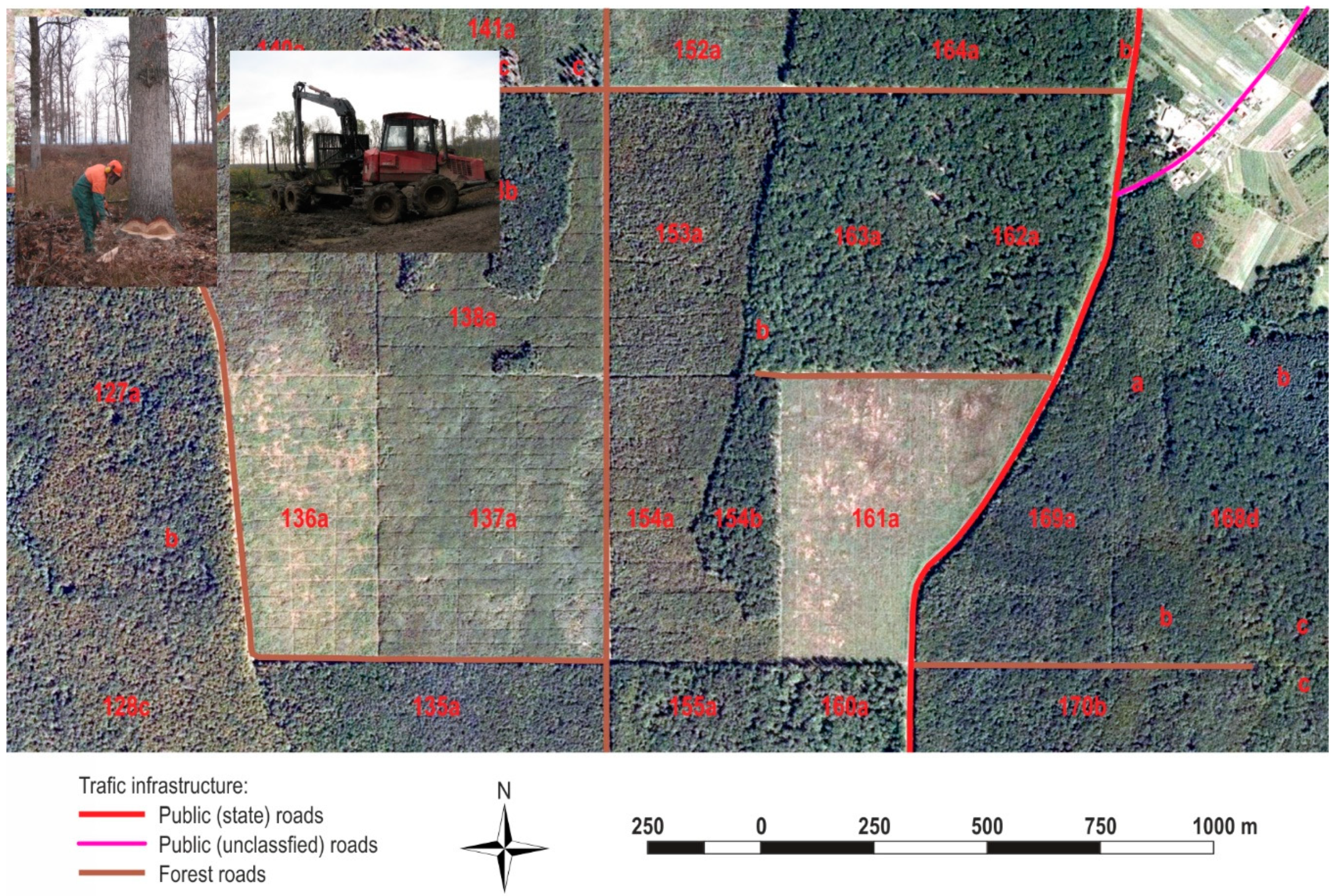 Forests 12 00007 g003