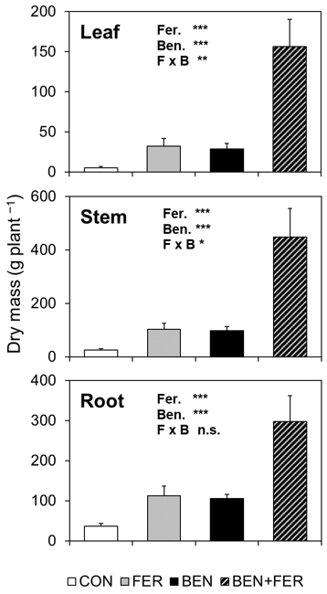 Forests 12 00026 g005