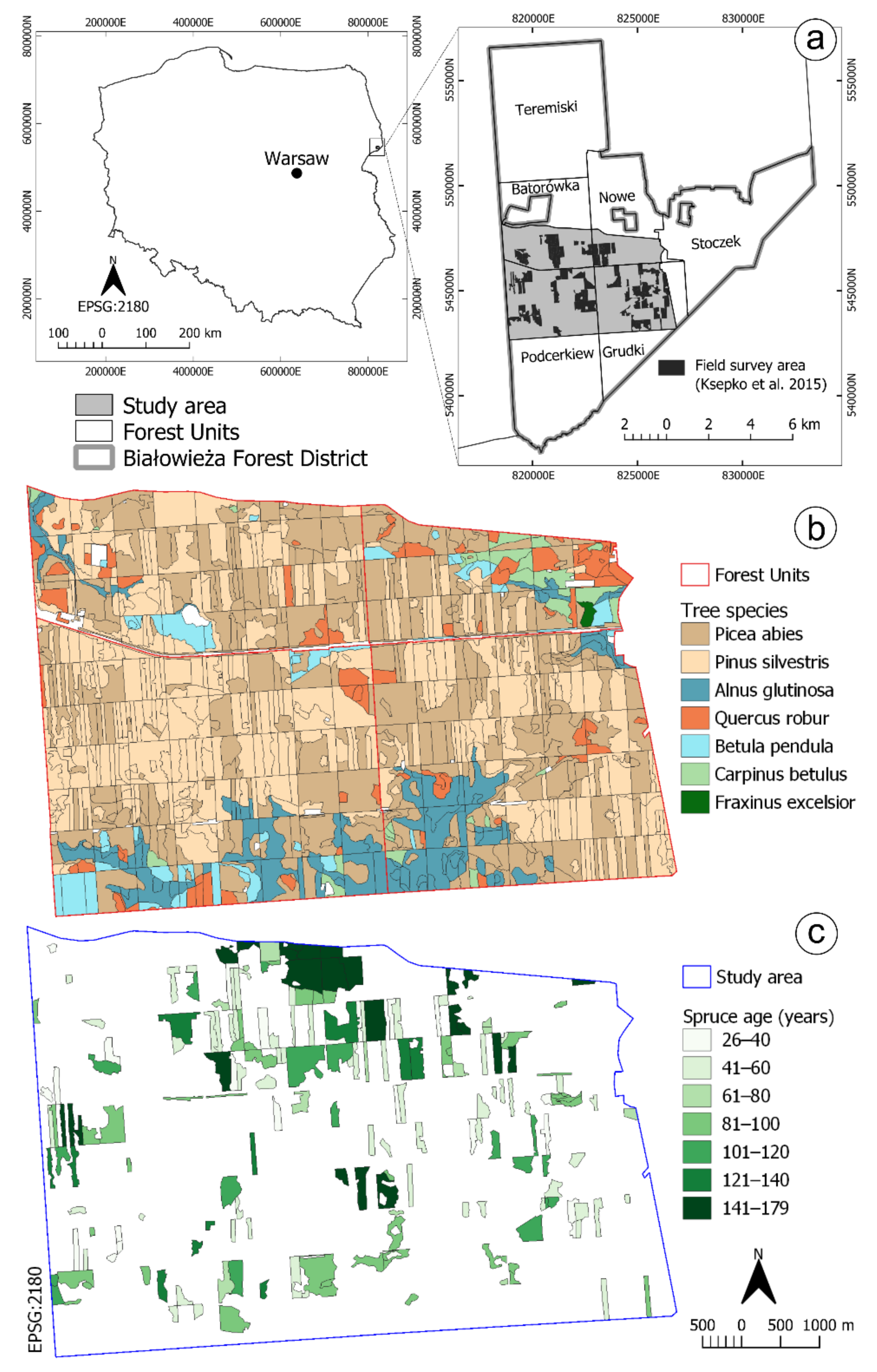 Forests 12 00034 g001 Forests 12 00034 g001
