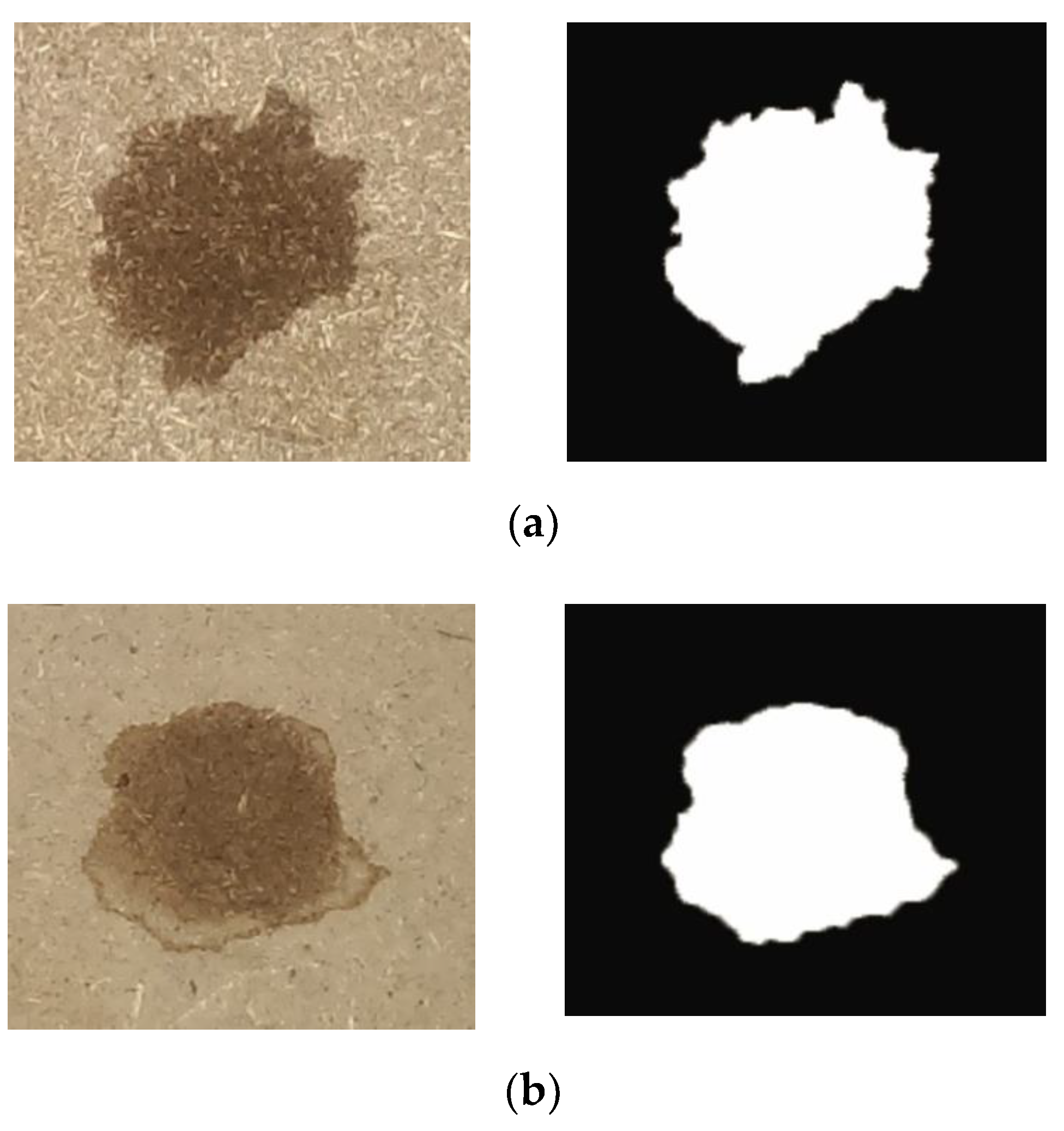Forests 12 00063 g001