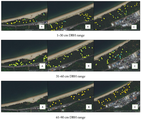 Forests 12 00072 g0a2
