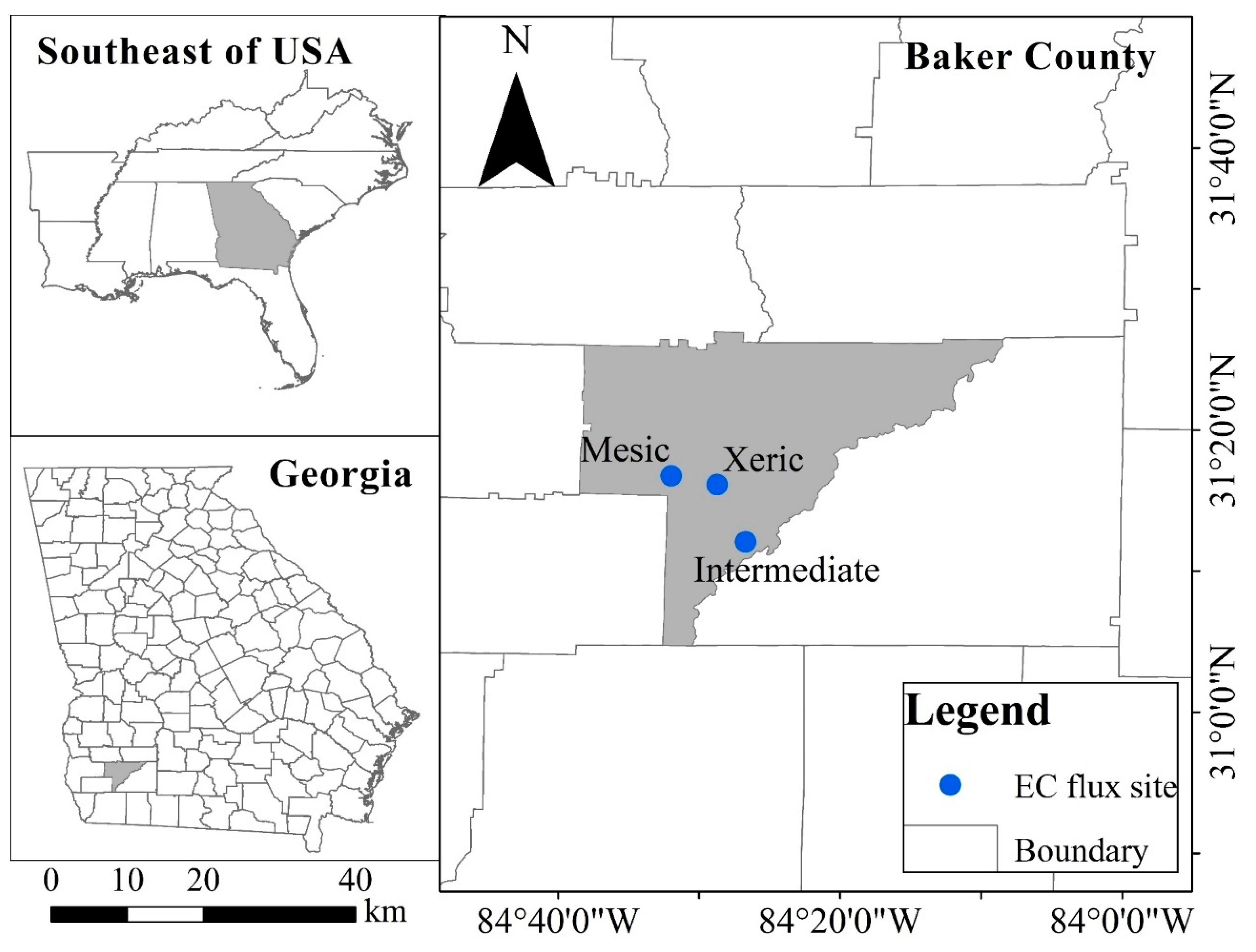Forests 12 00095 g001
