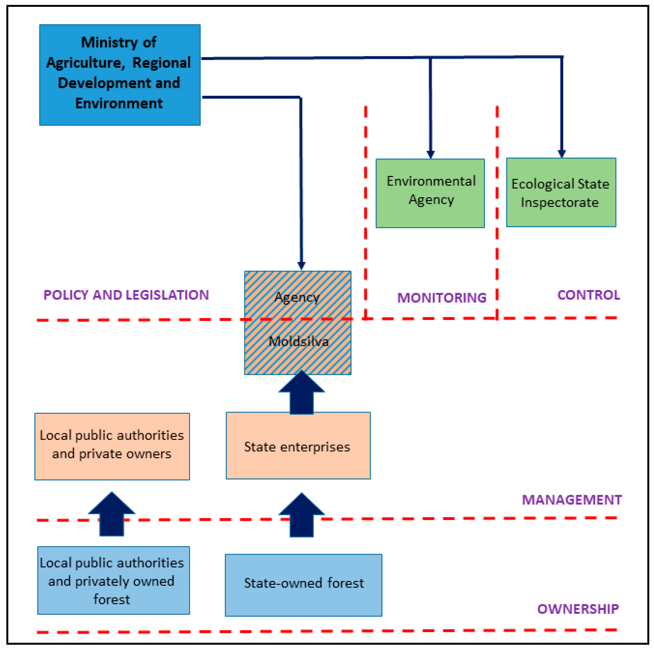 Forests 12 00105 g001 Forests 12 00105 g001