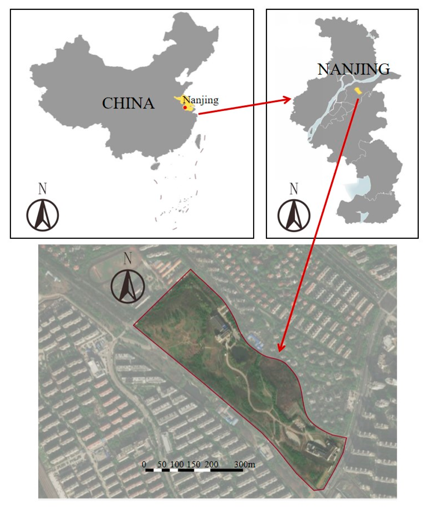 Forests 12 00111 g002