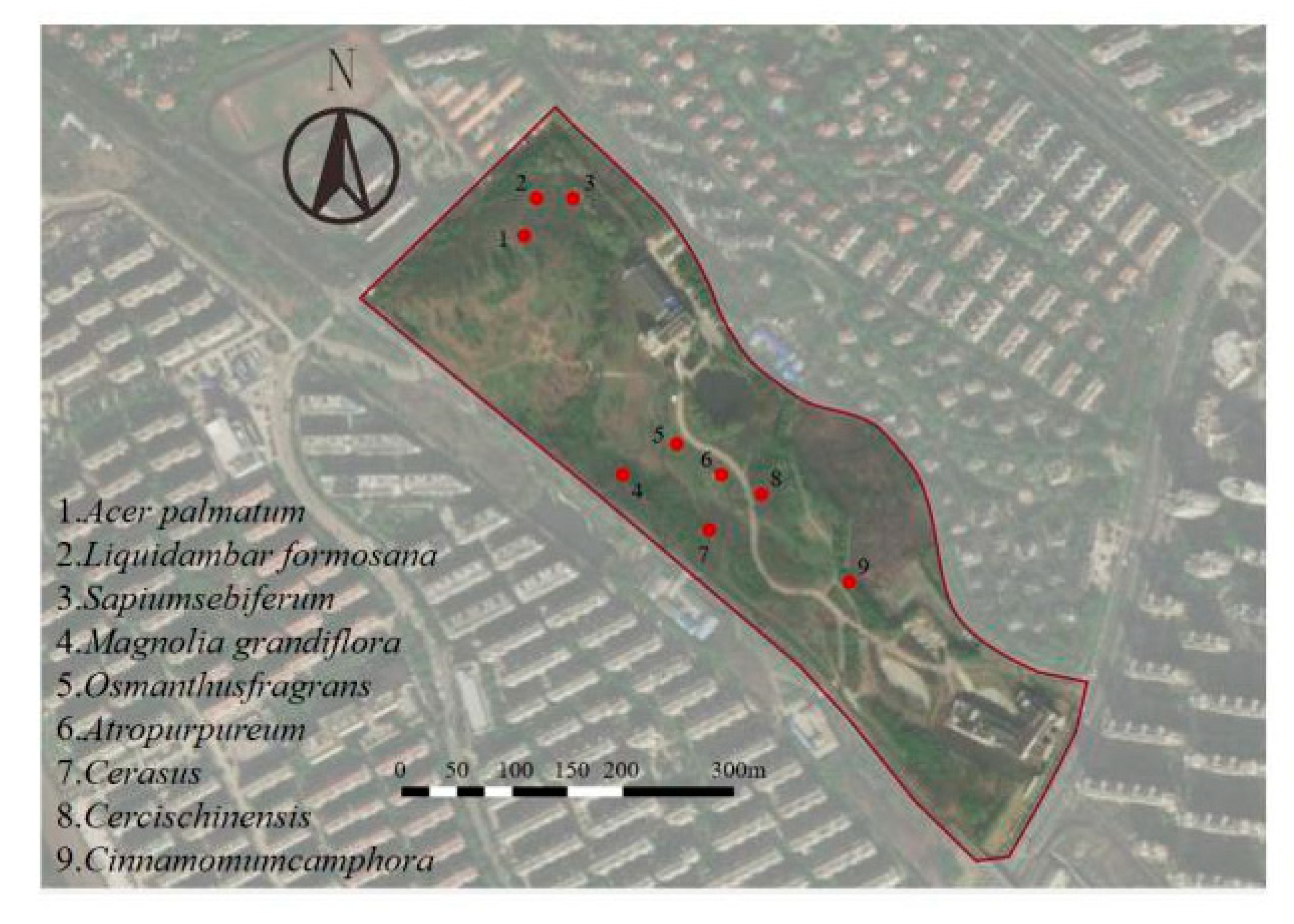 Forests 12 00111 g003