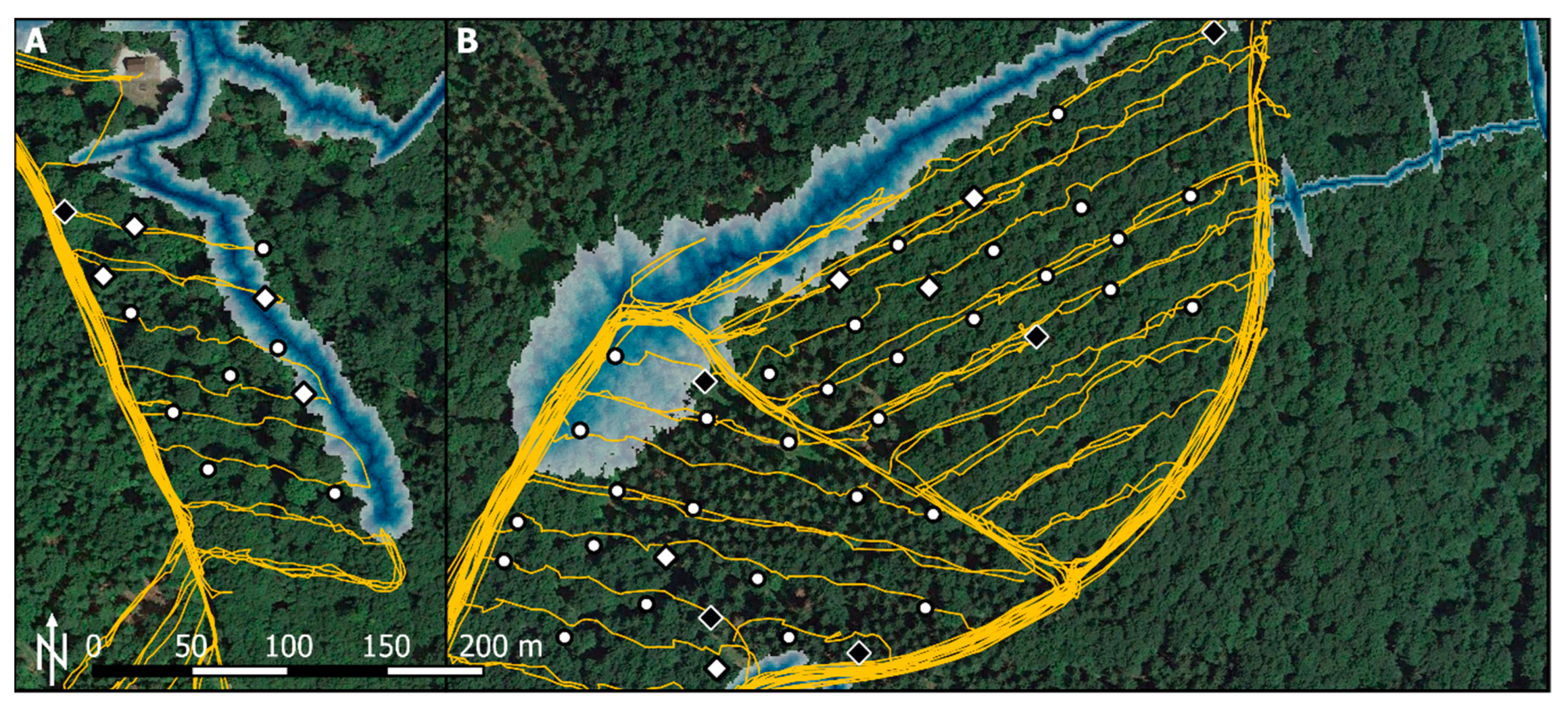 Forests 12 00113 g001 Forests 12 00113 g001