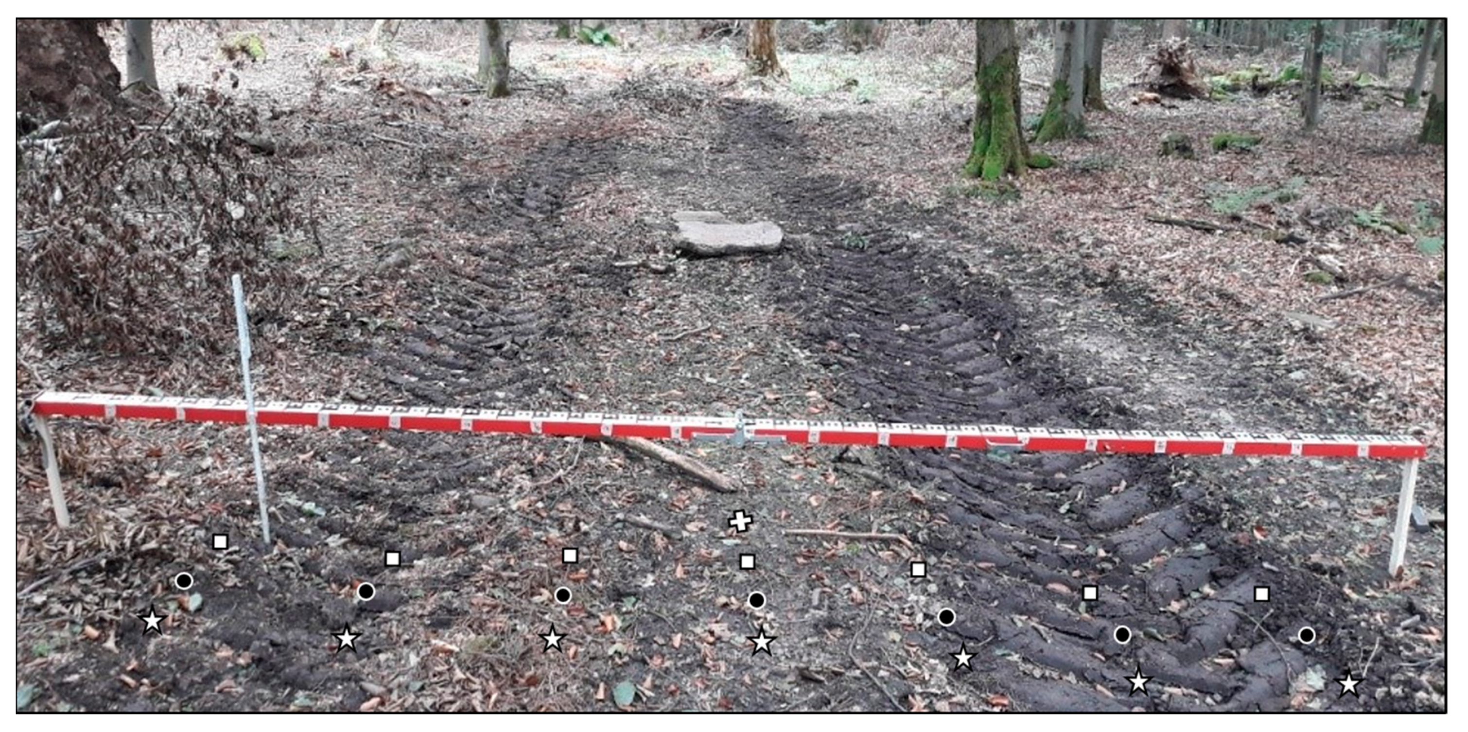 Forests 12 00113 g002 Forests 12 00113 g002