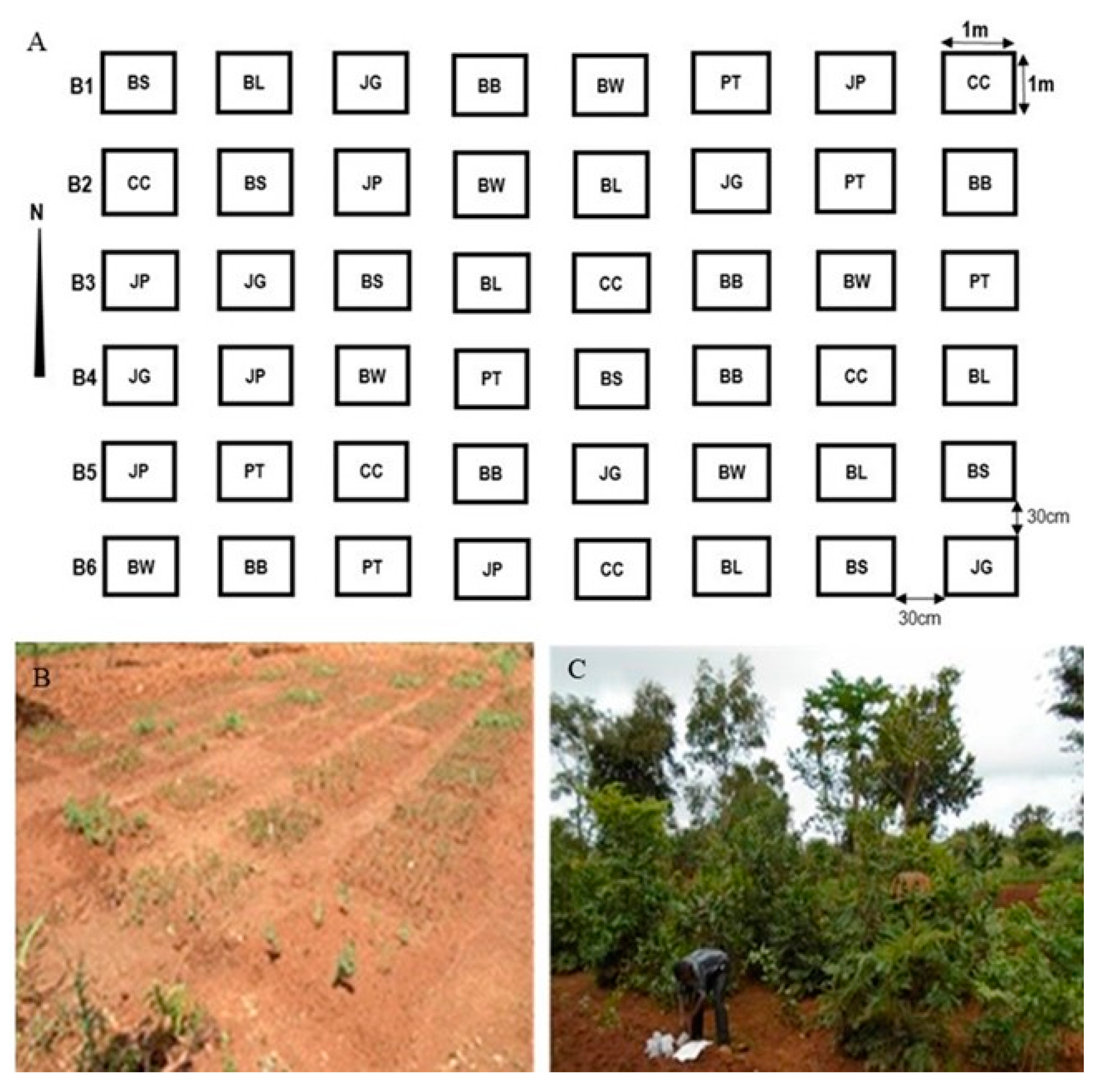 Forests 12 00117 g0a1 Forests 12 00117 g0a1