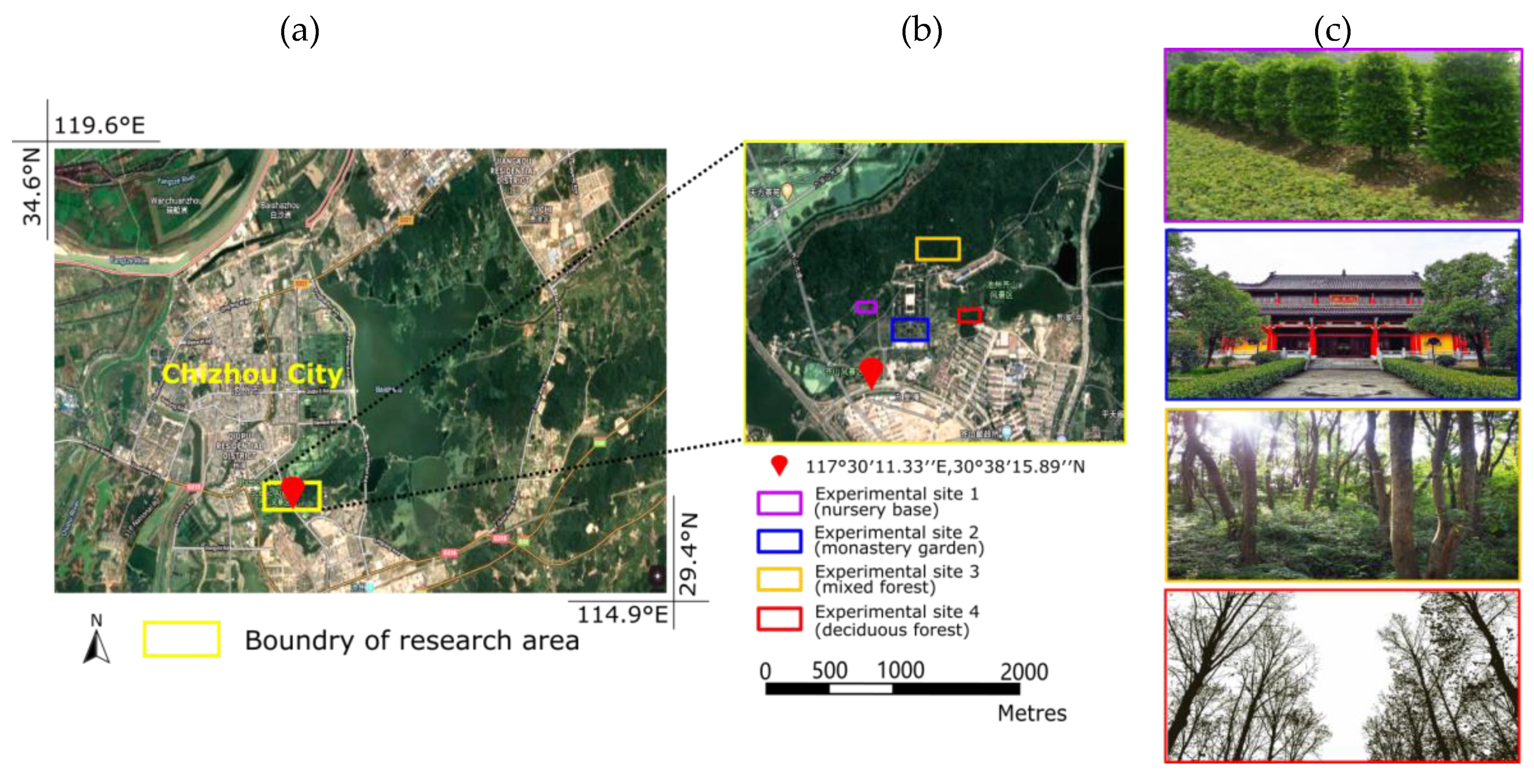 Forests 12 00131 g002