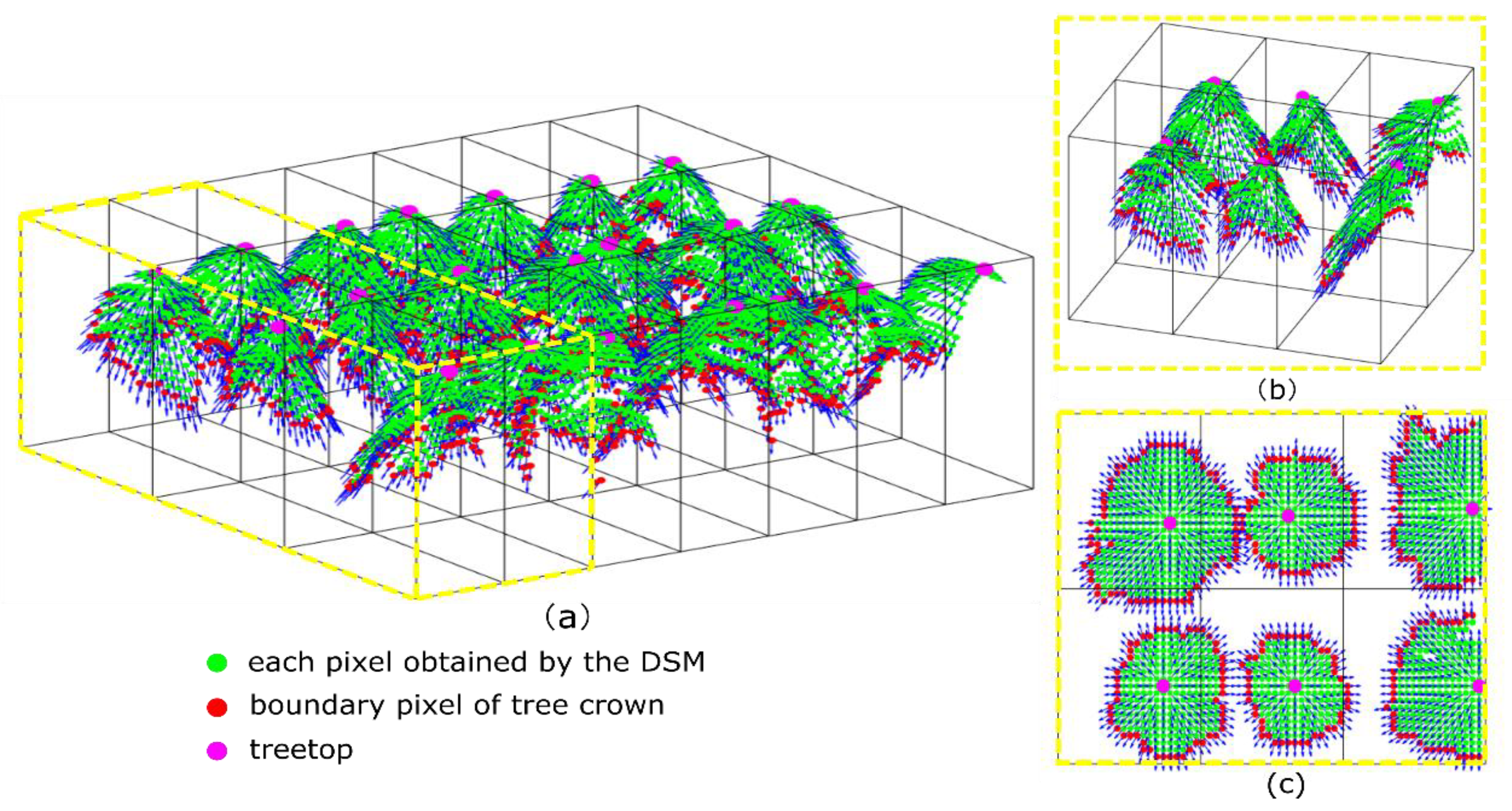 Forests 12 00131 g005