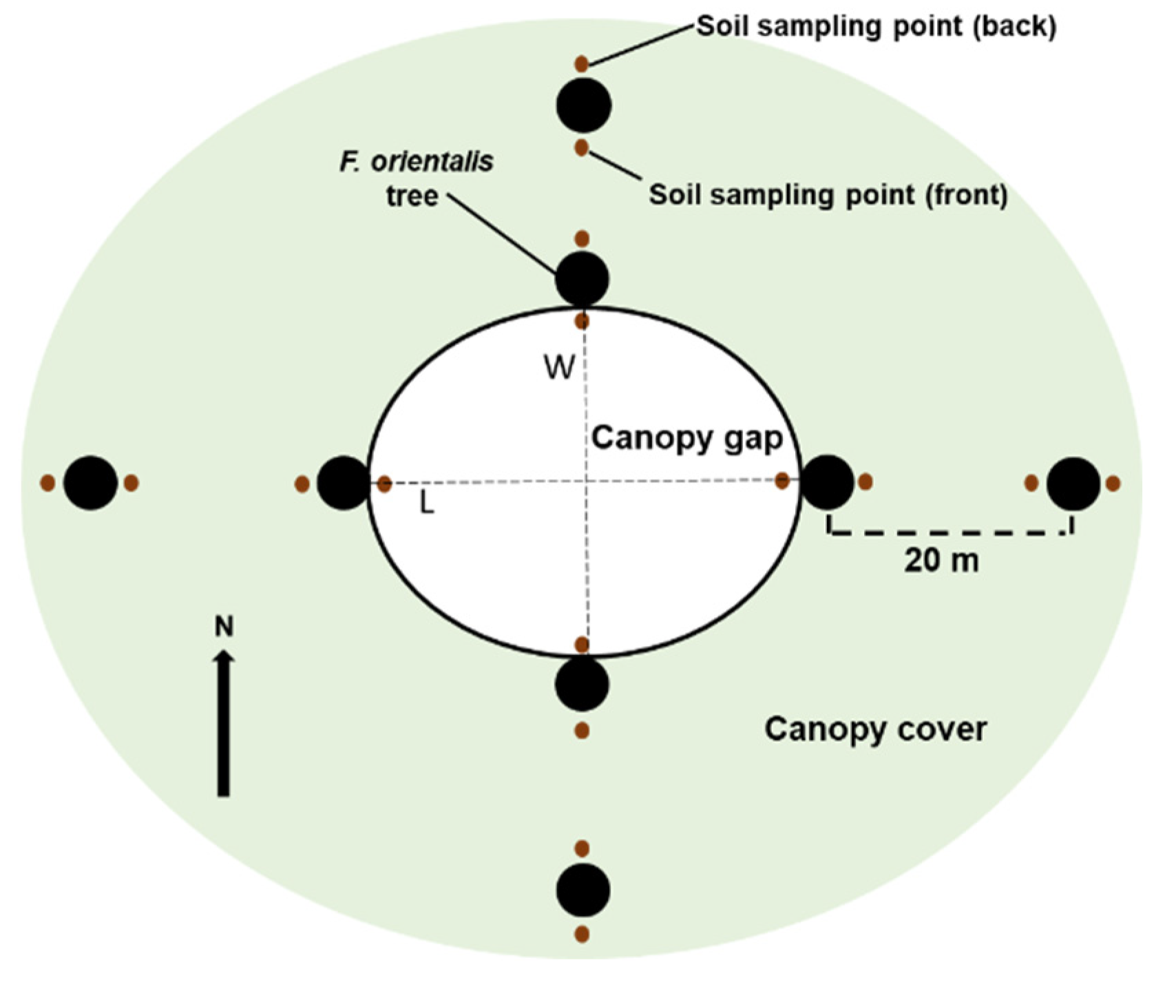 Forests 12 00137 g001