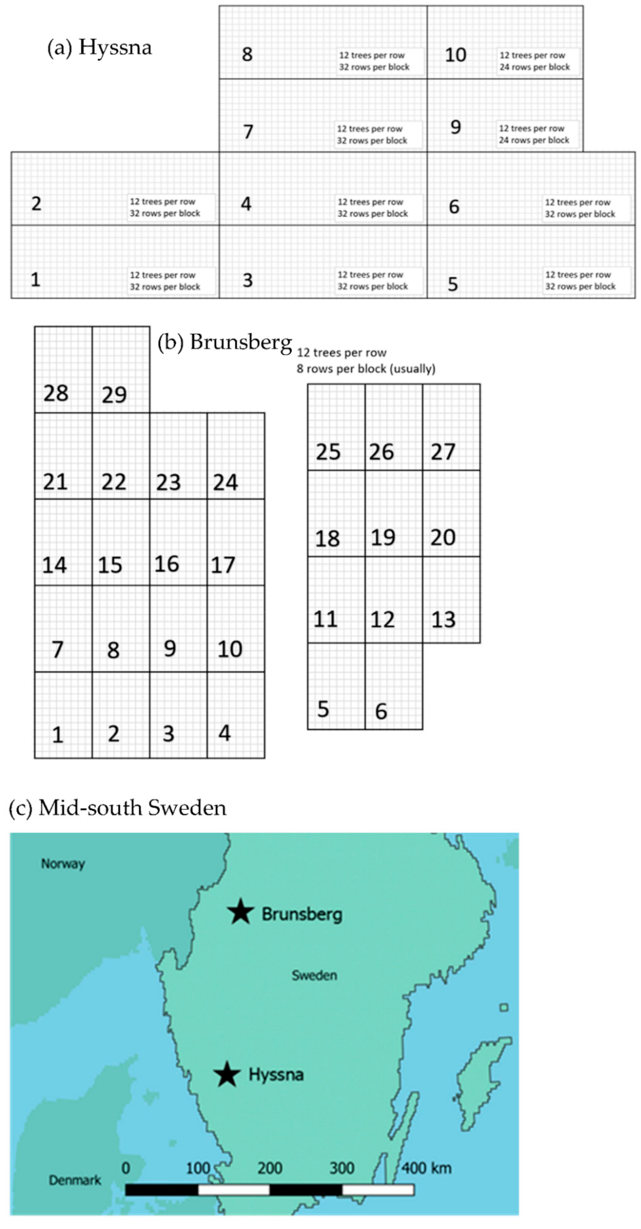 Forests 12 00159 g001