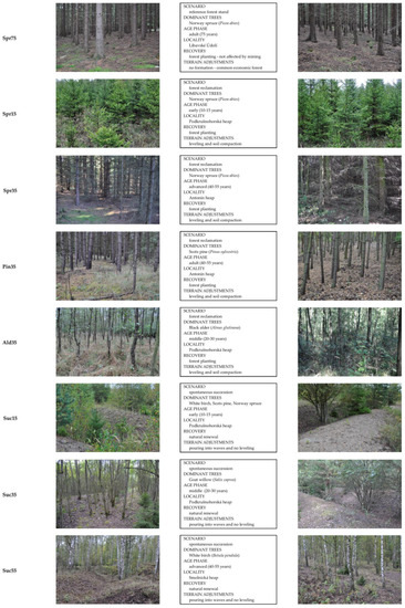 Forests 12 00160 g0a1