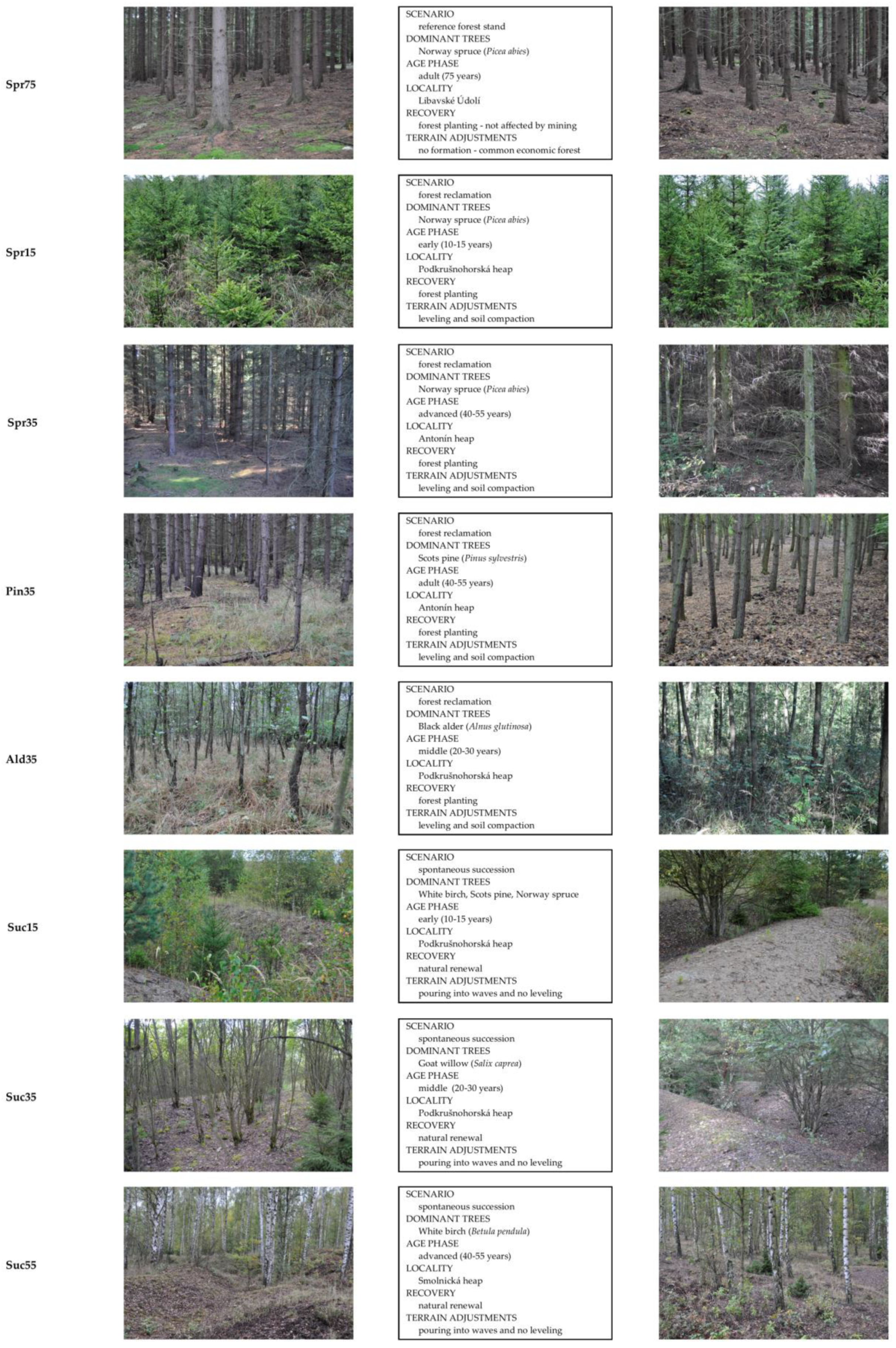Forests 12 00160 g0a1 Forests 12 00160 g0a1