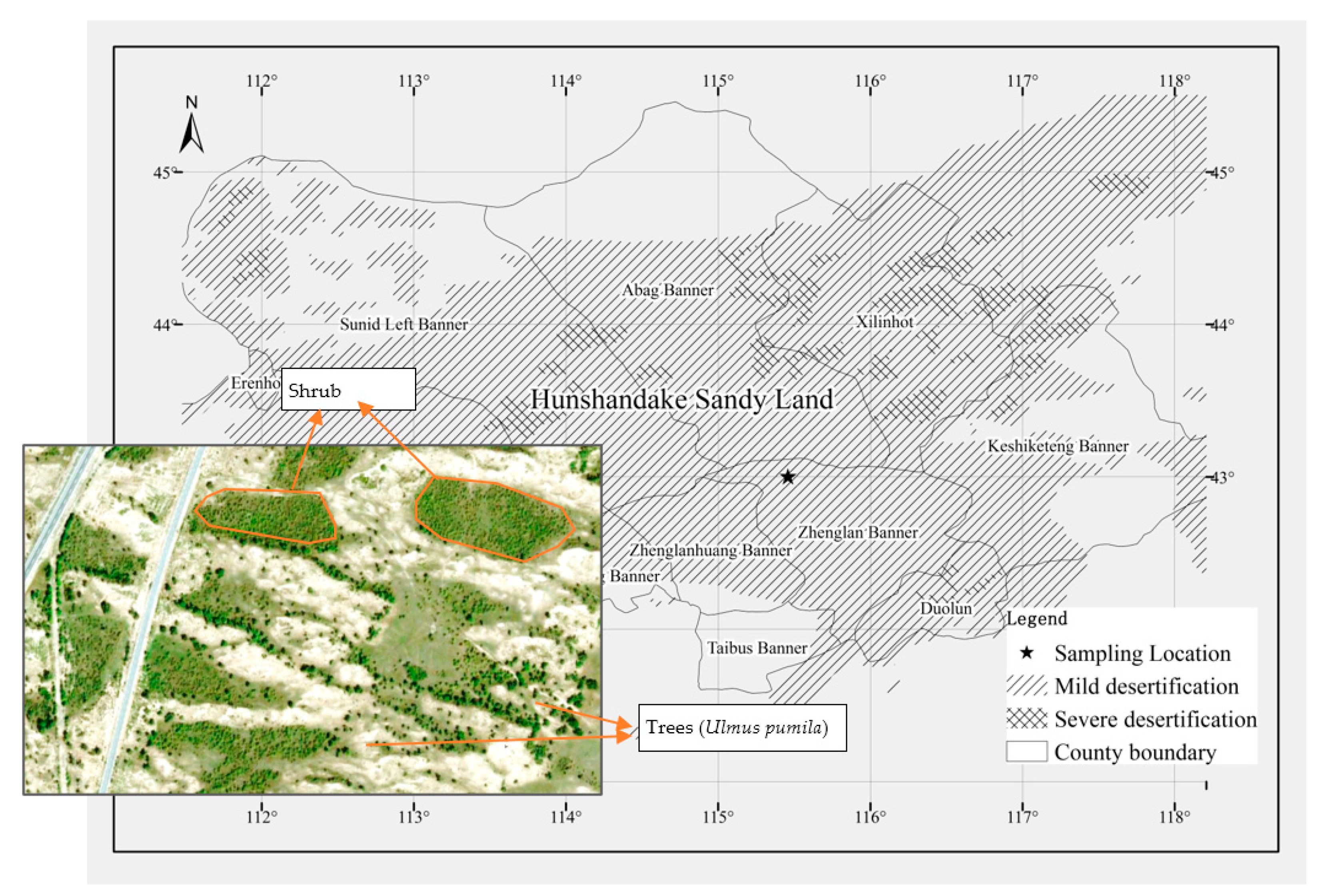 Forests 12 00167 g001