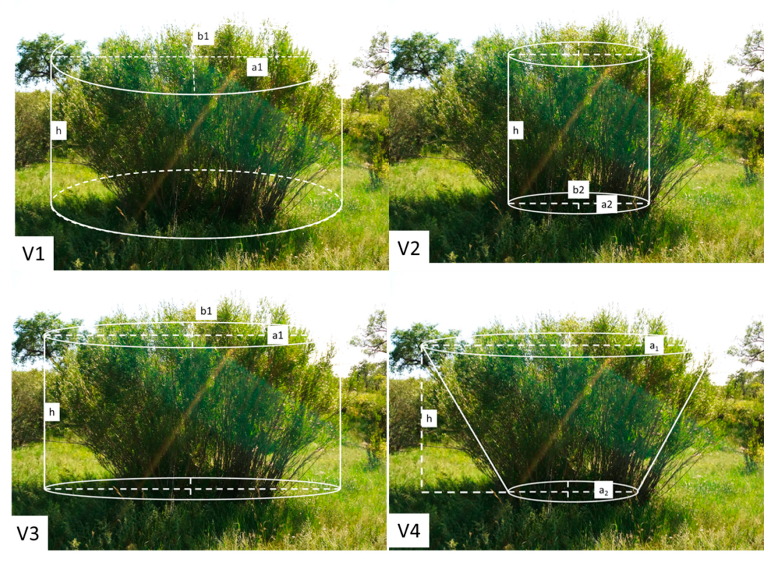 Forests 12 00167 g003
