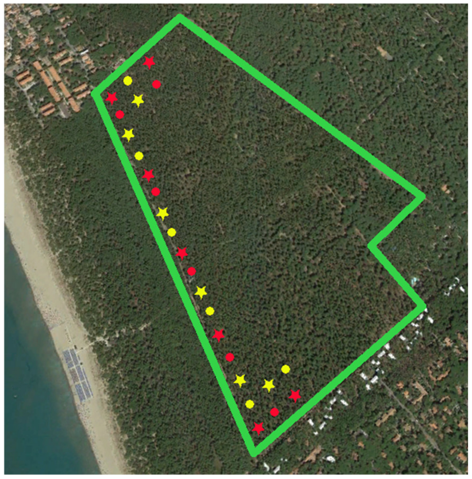 Forests 12 00175 g001