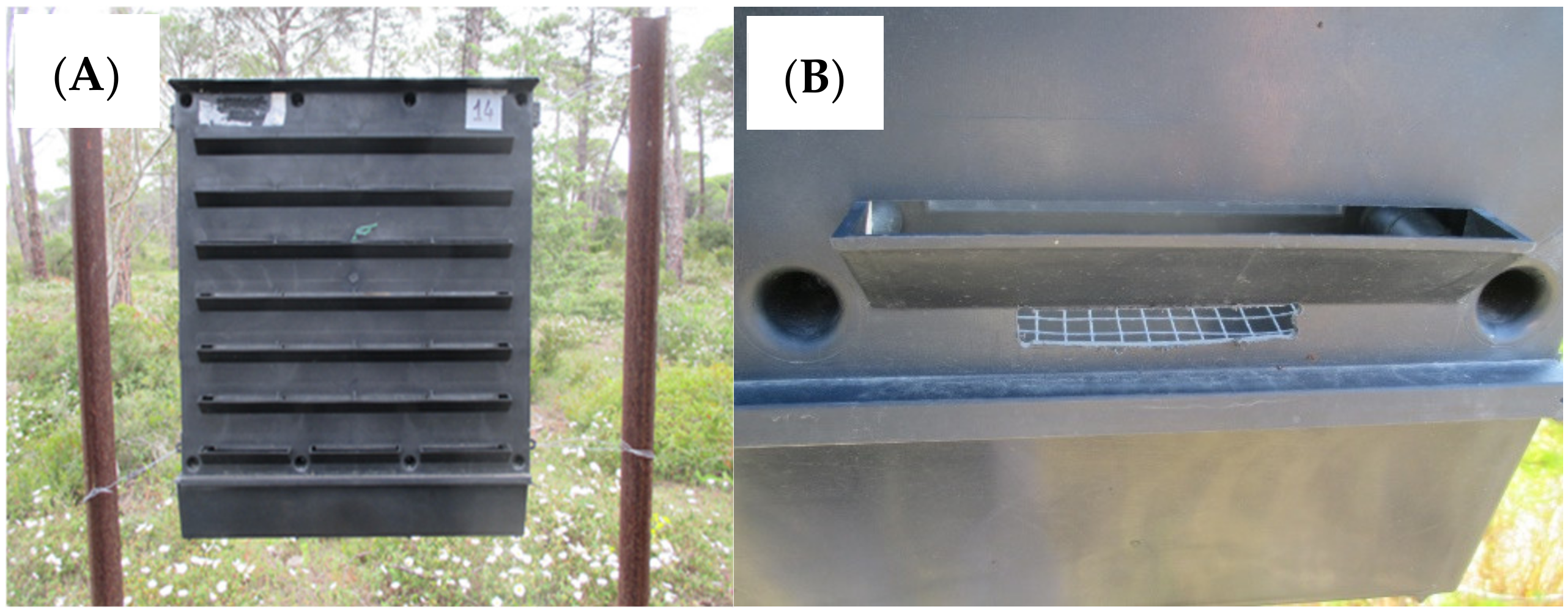Forests 12 00175 g002