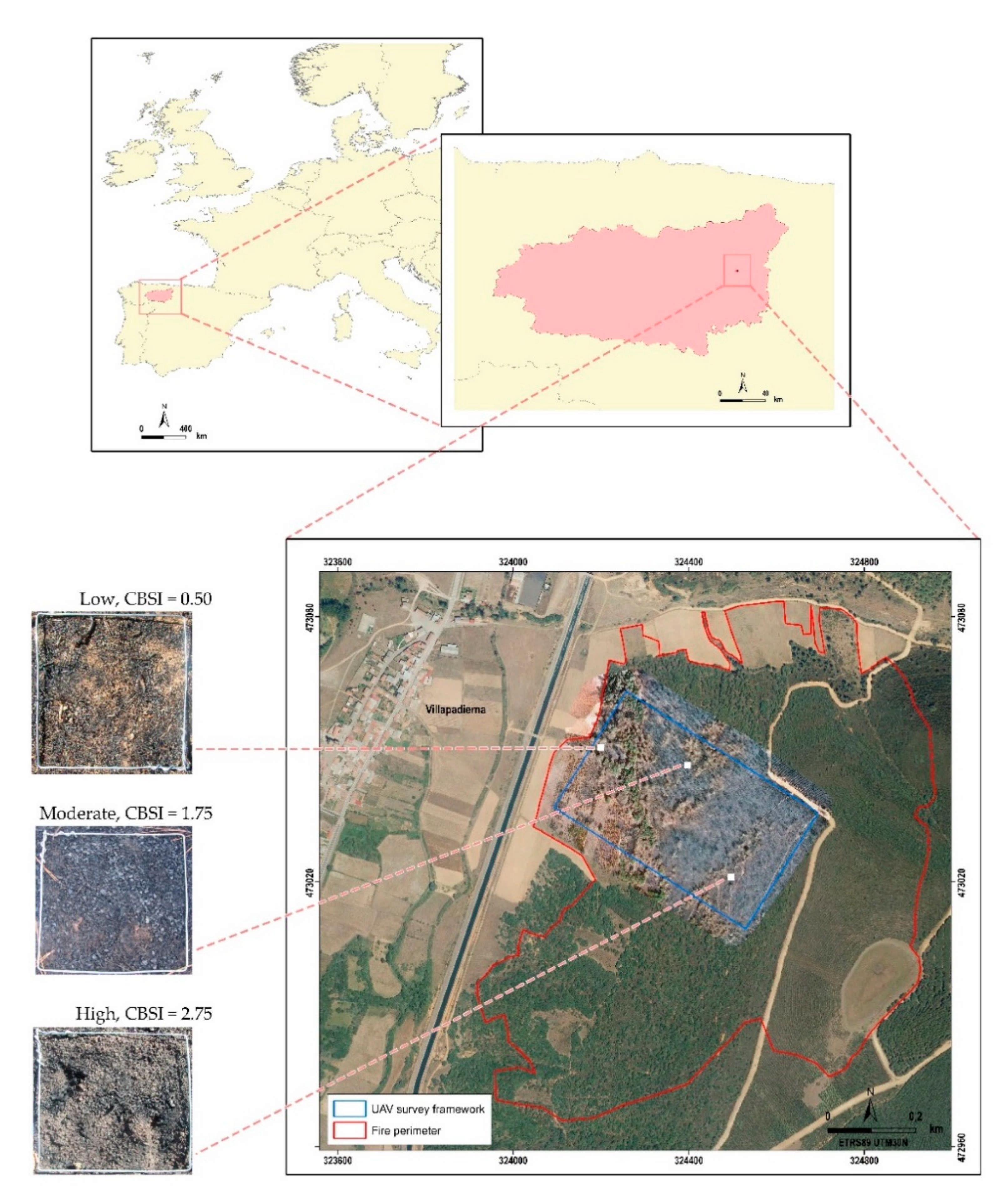 Forests 12 00179 g002
