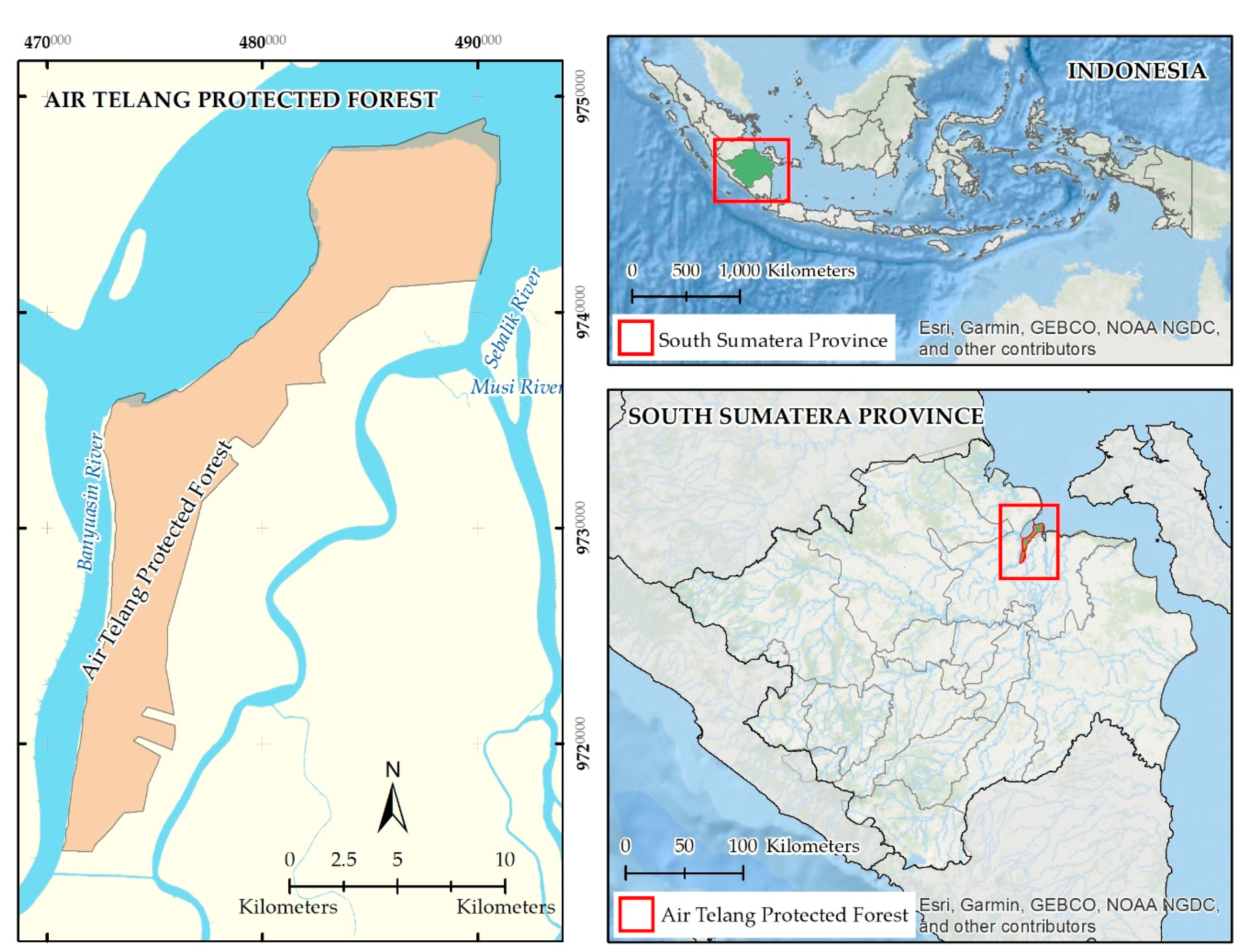 Forests 12 00187 g001