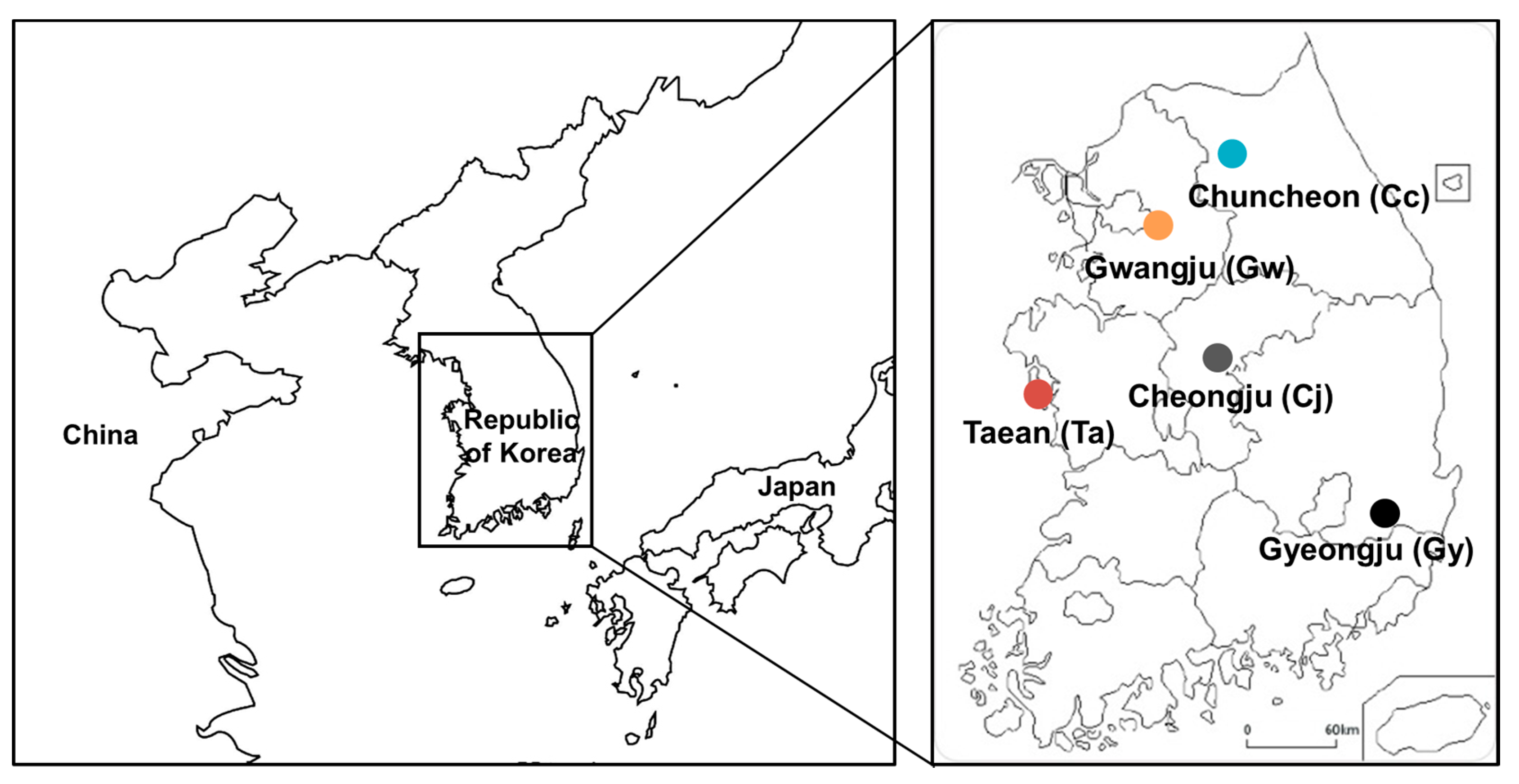 Forests 12 00190 g001