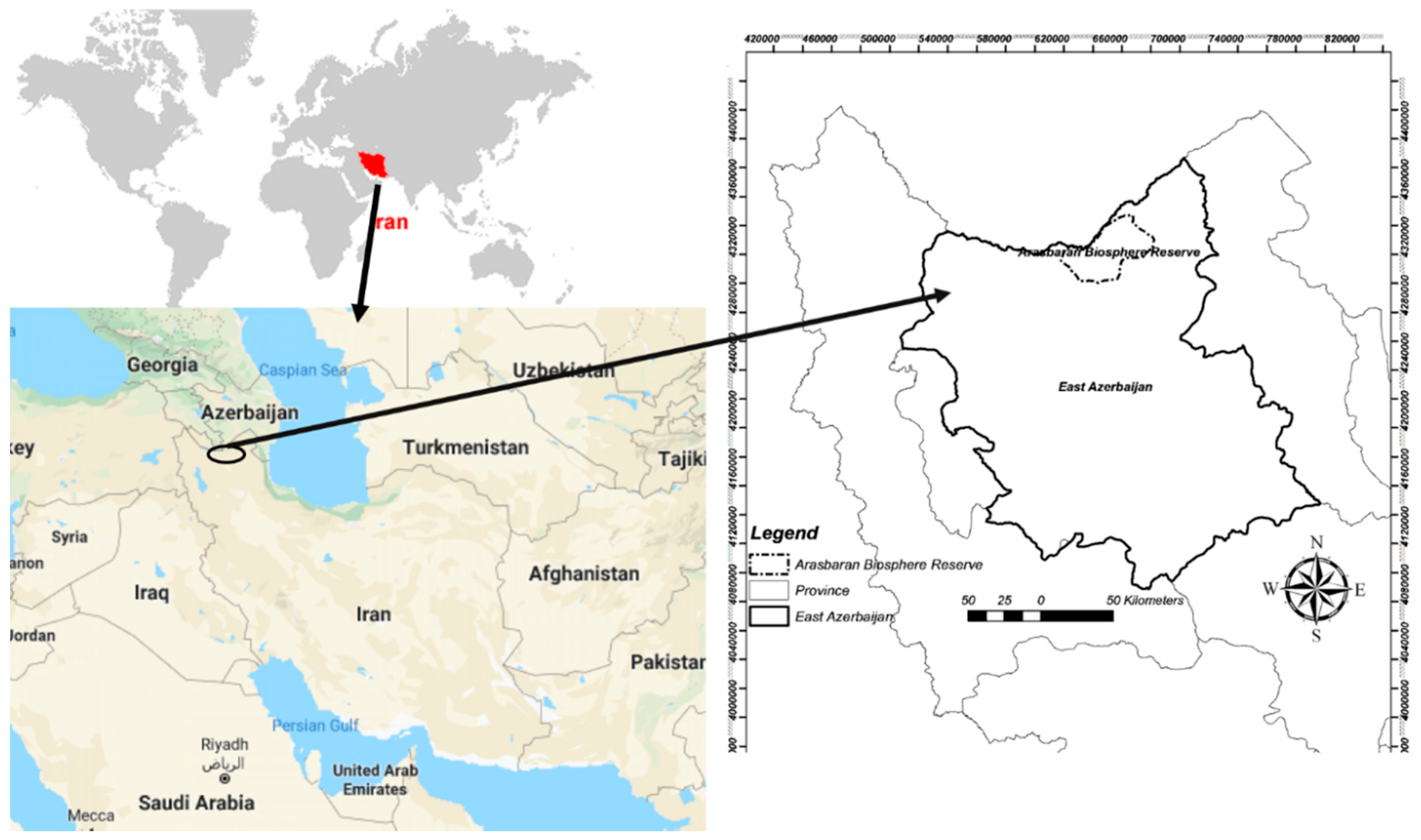 Forests 12 00191 g001
