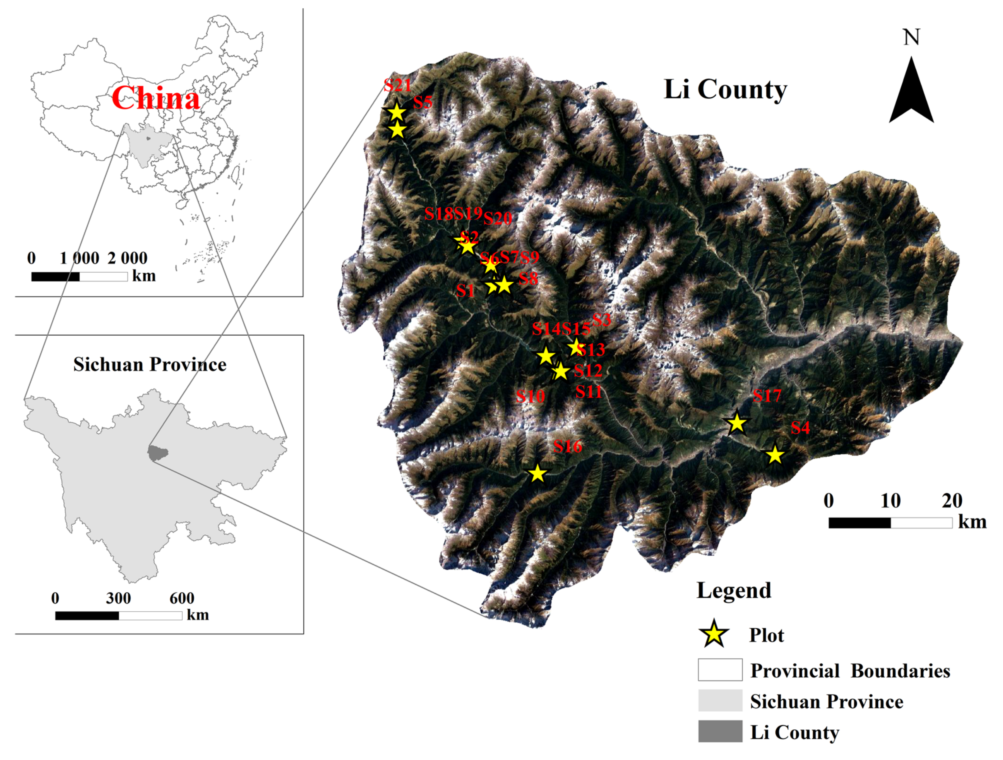 Forests 12 00199 g001