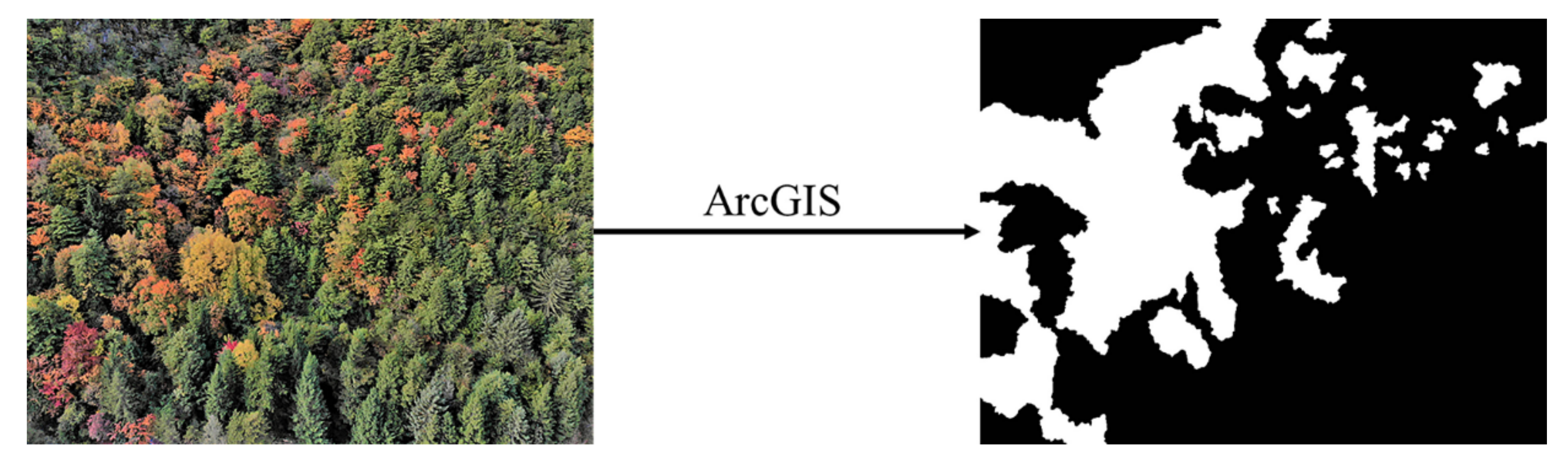 Forests 12 00199 g002