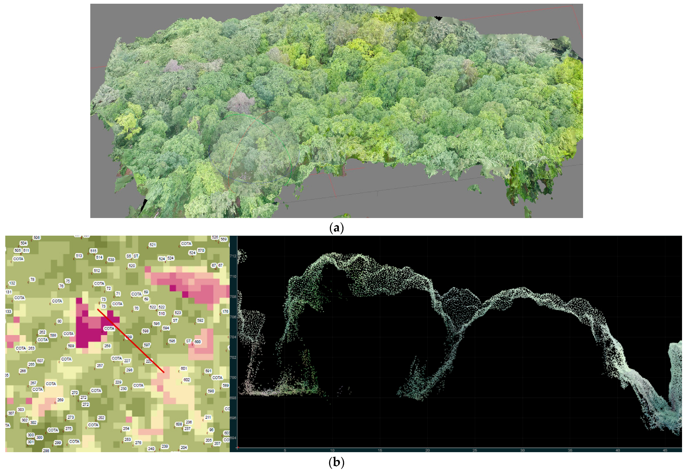 Forests 12 00200 g002