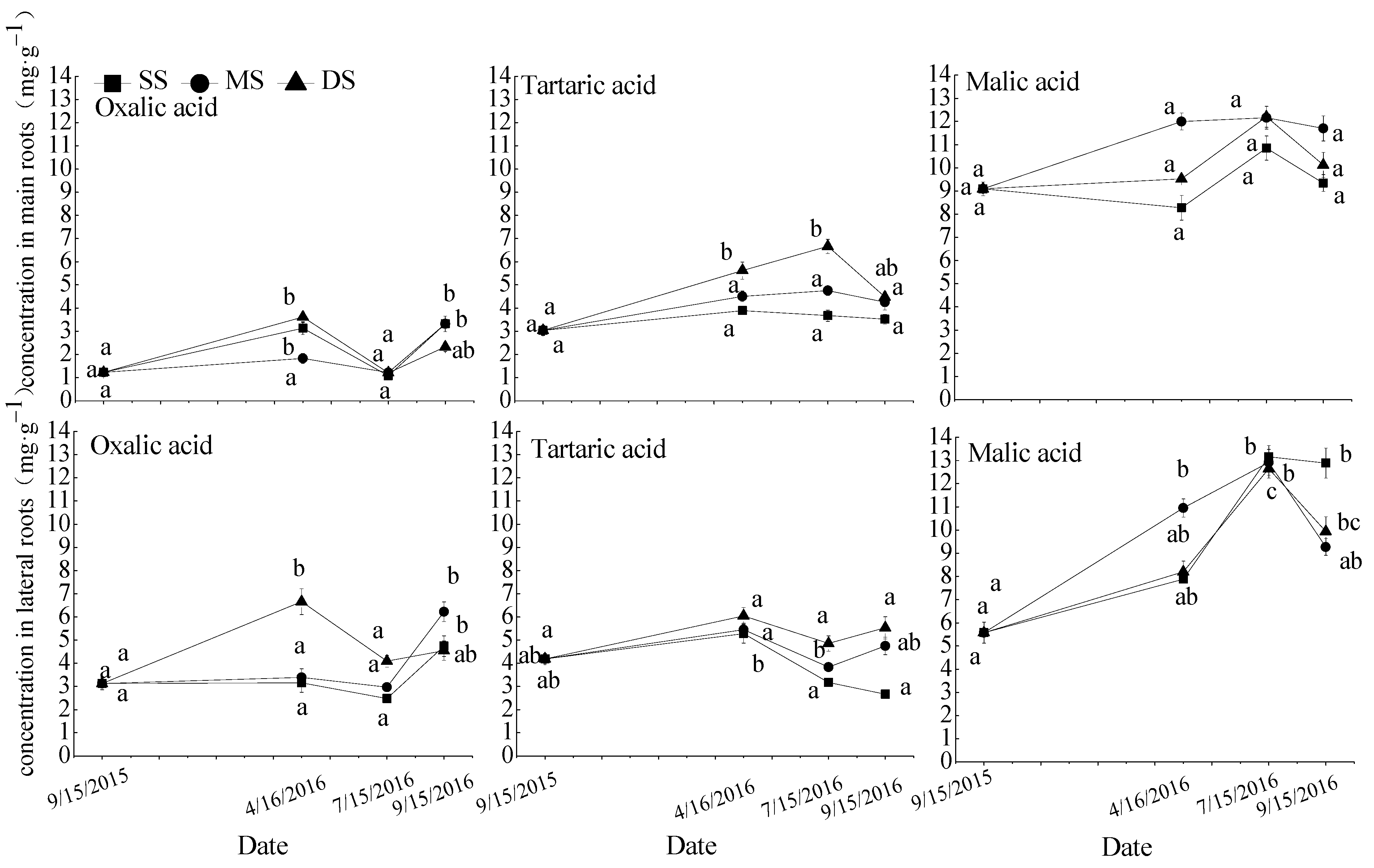 Forests 12 00203 g003