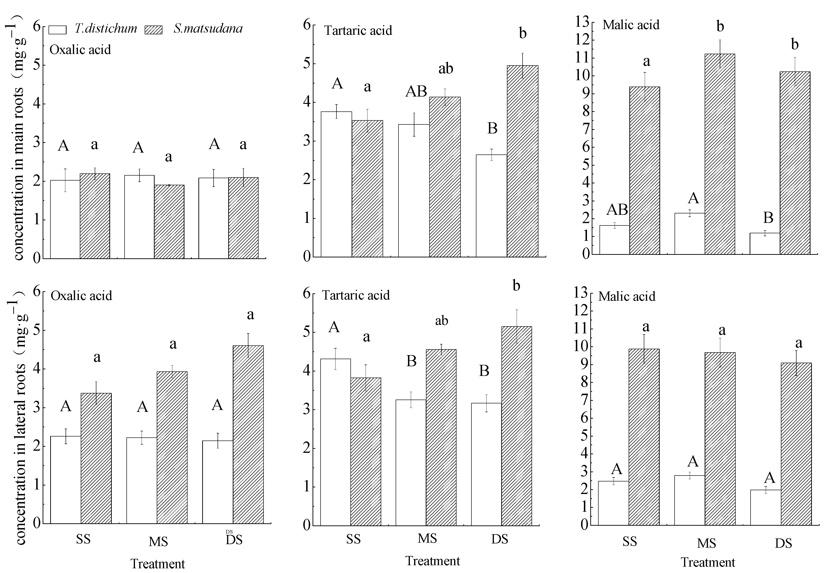 Forests 12 00203 g004
