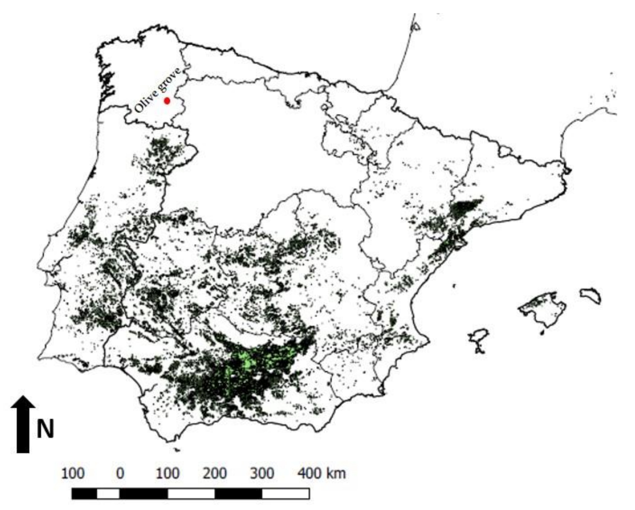 Forests 12 00204 g001