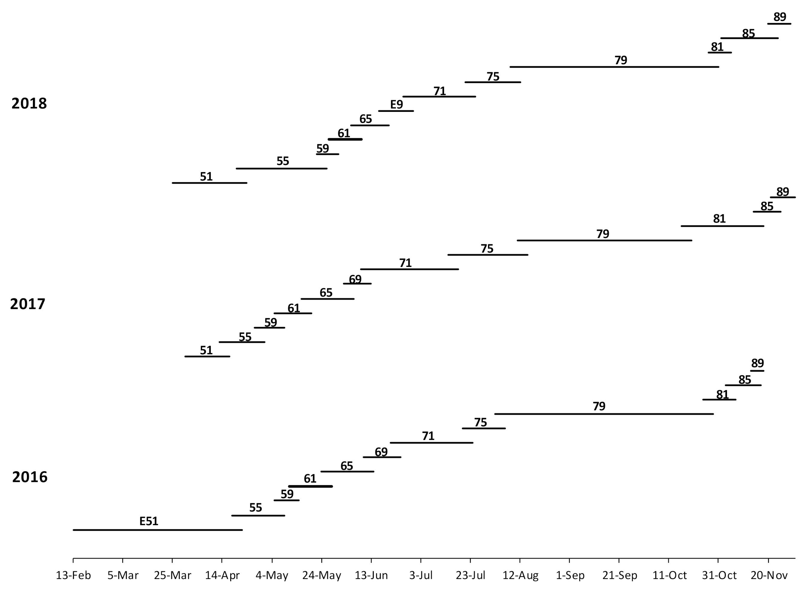 Forests 12 00204 g002