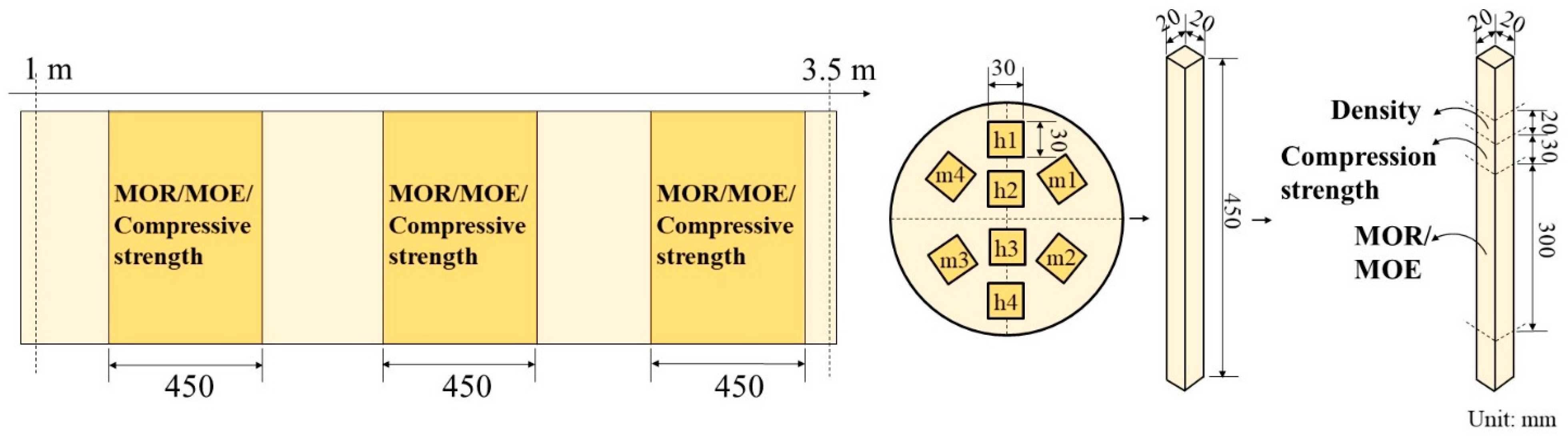 Forests 12 00206 g001