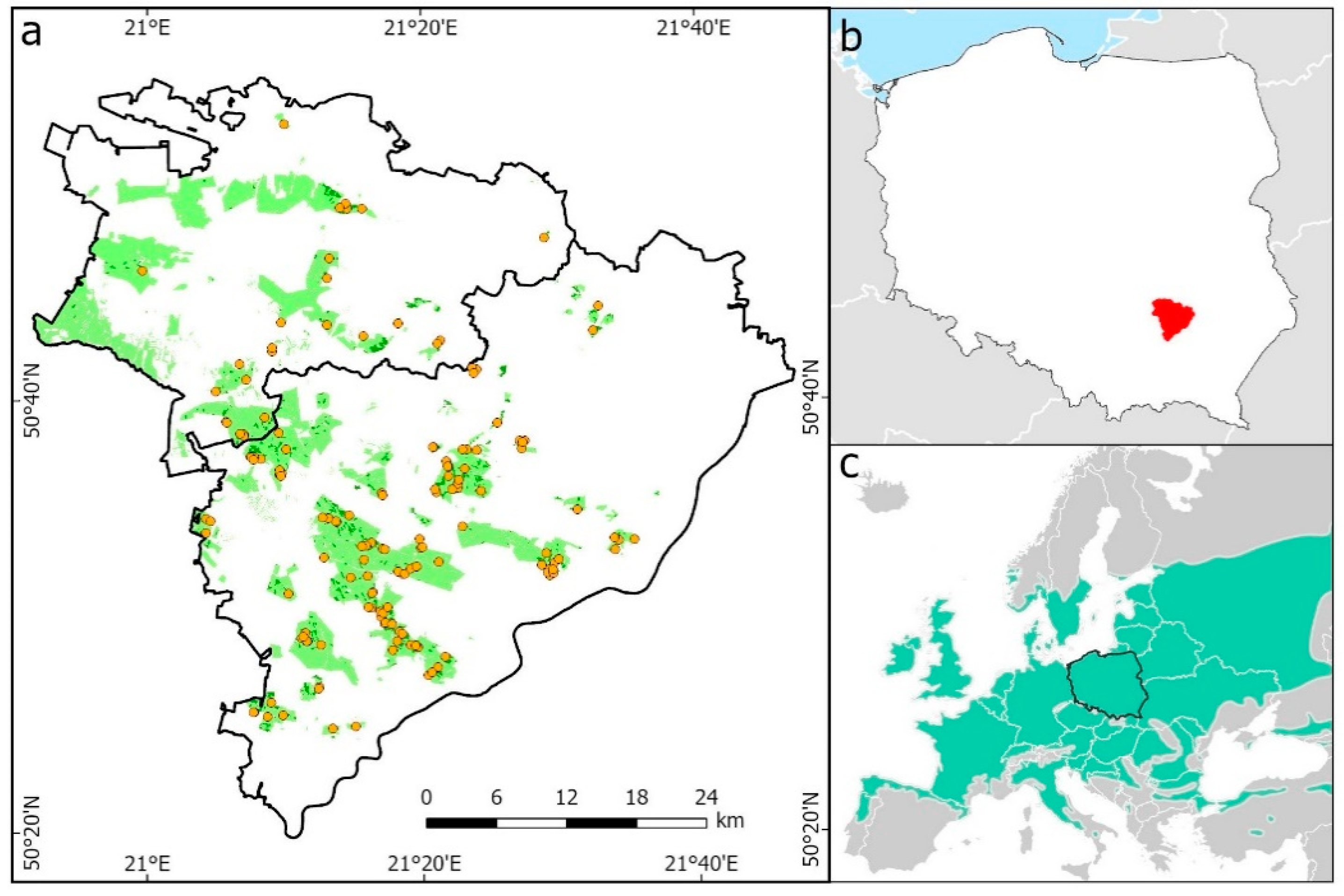 Forests 12 00209 g001