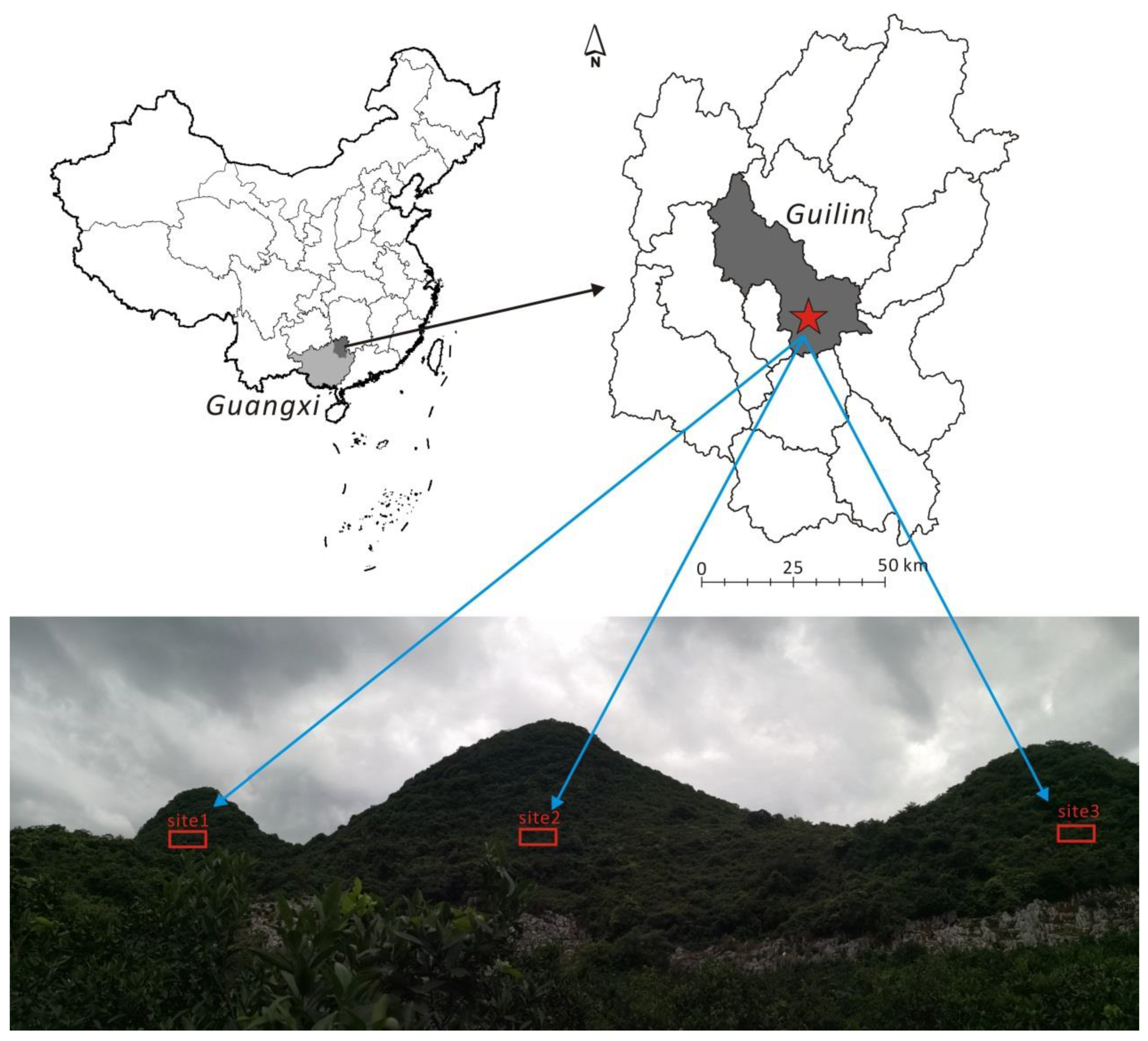 Forests 12 00221 g001 Forests 12 00221 g001