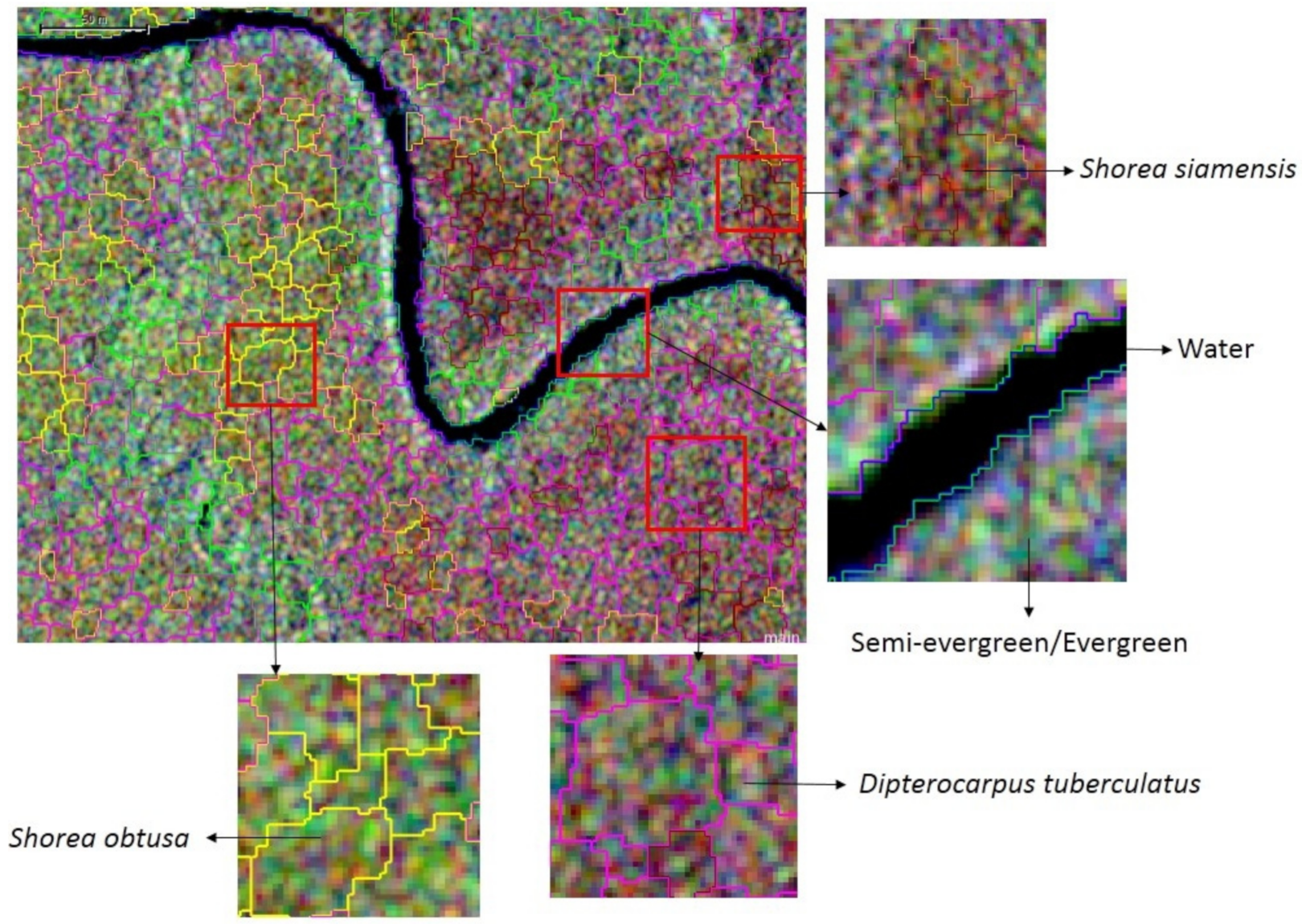 Forests 12 00235 g008