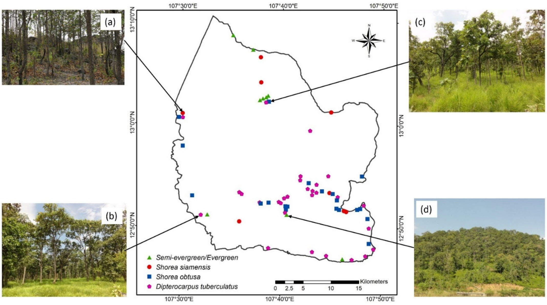 Forests 12 00235 g010