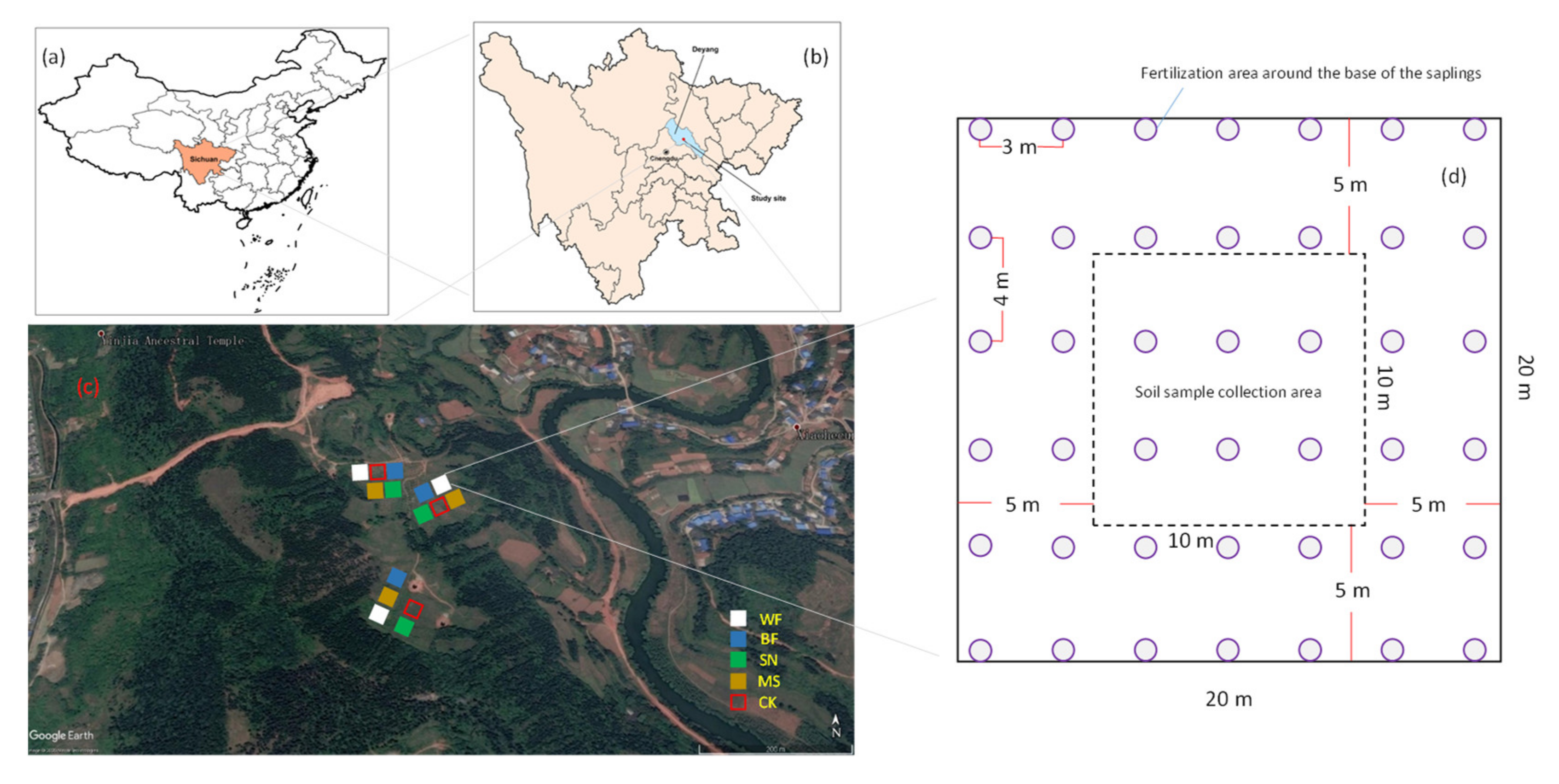 Forests 12 00236 g001
