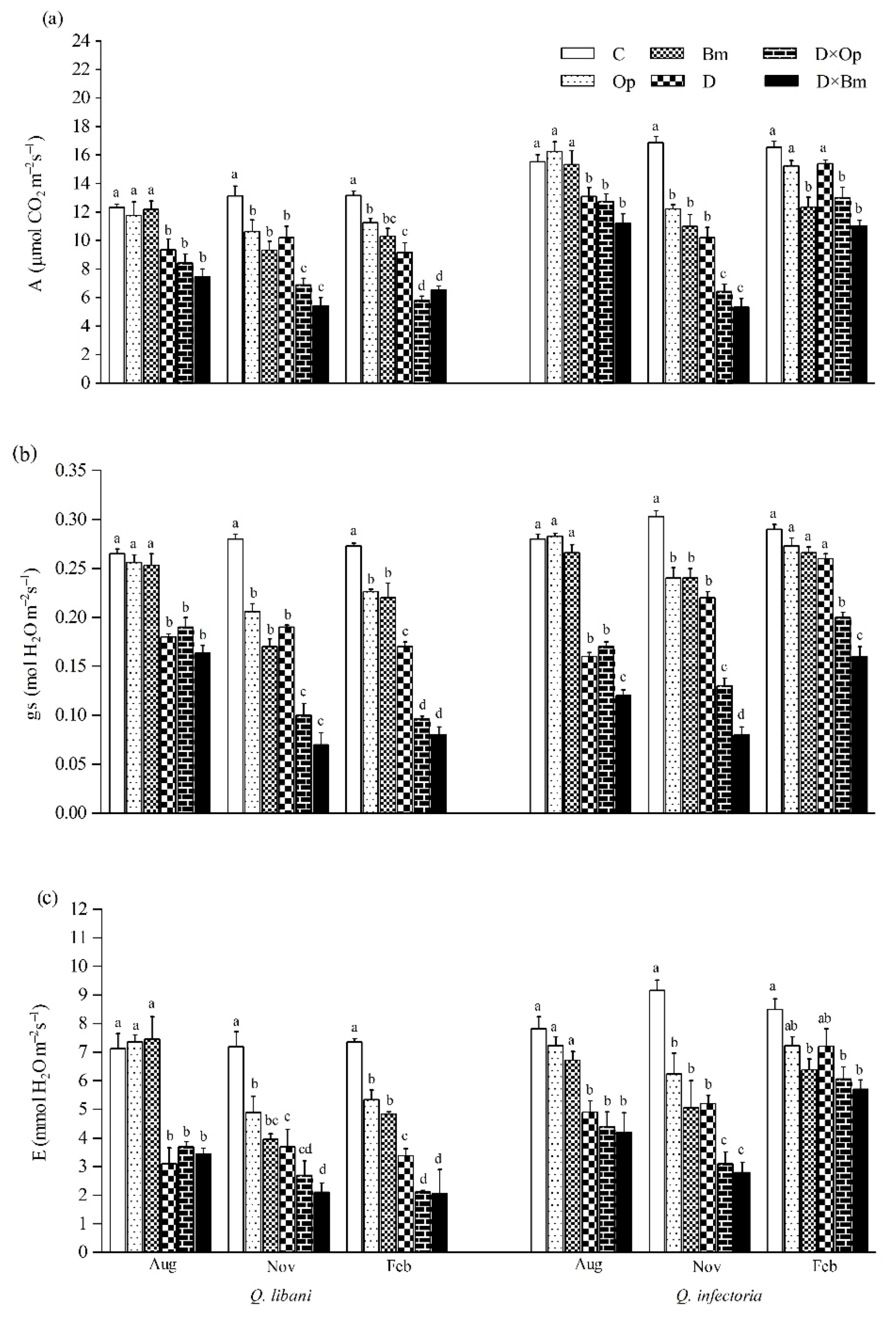 Forests 12 00247 g004