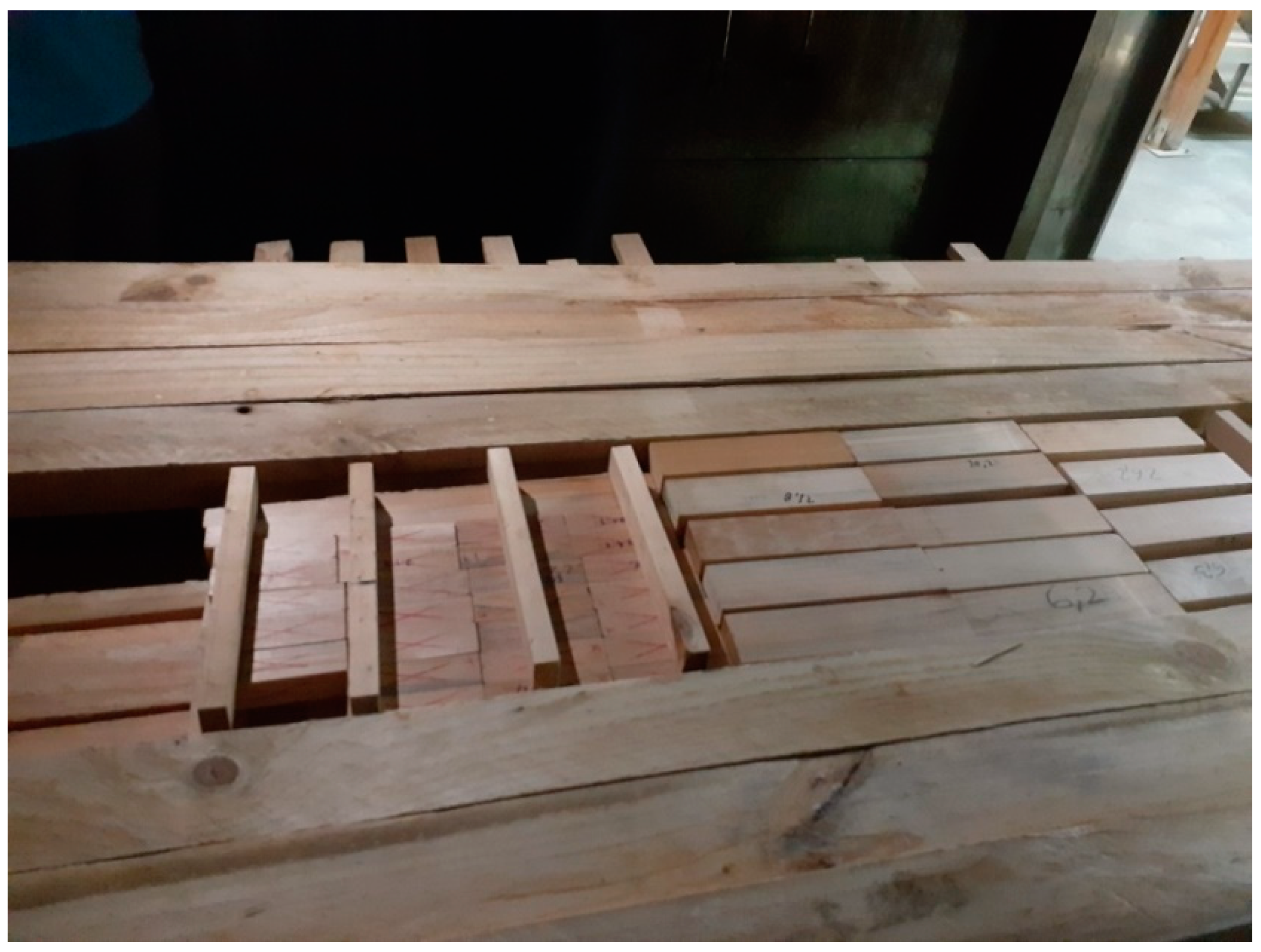 Forests 12 00249 g001