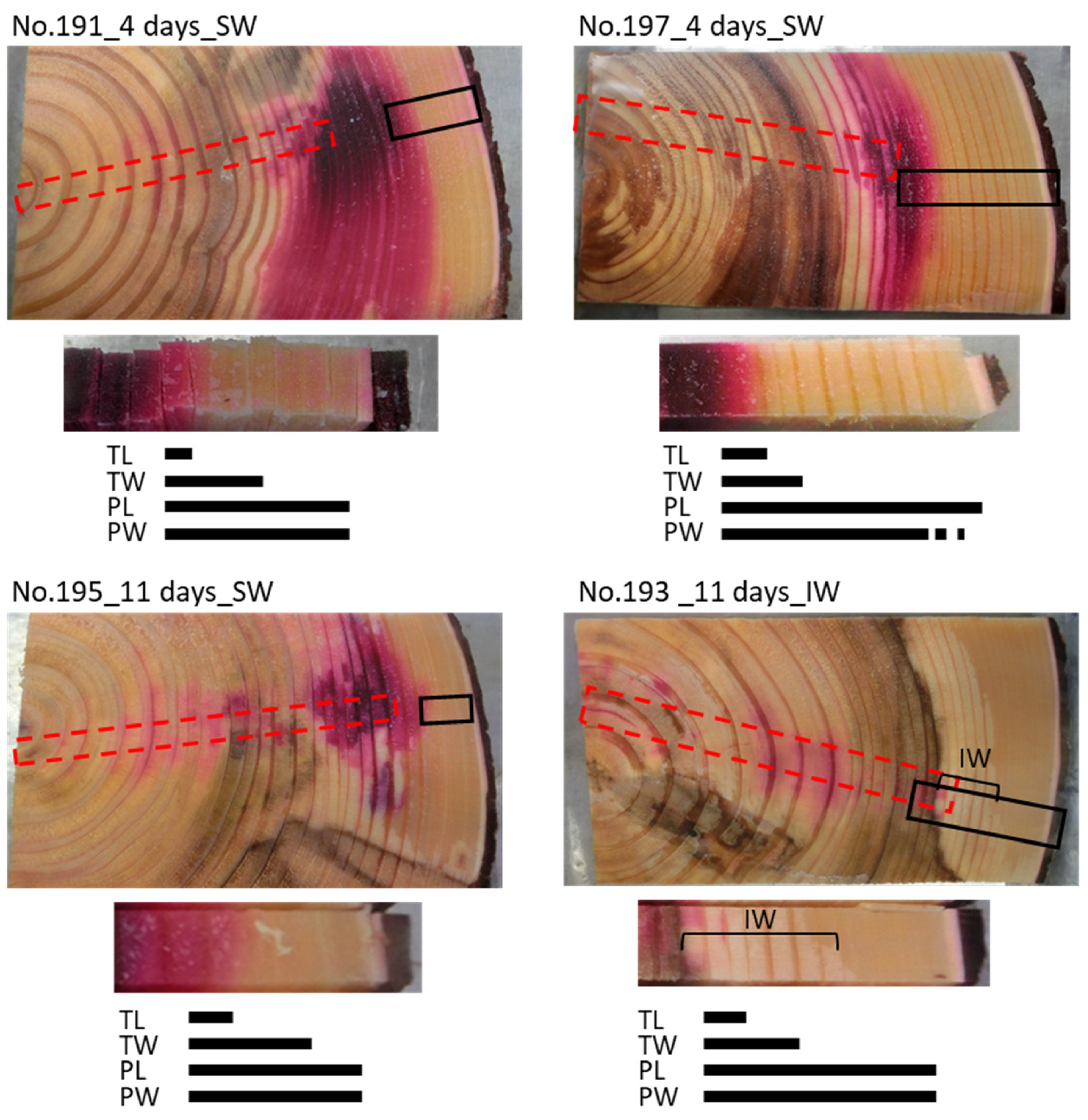Forests 12 00251 g003 Forests 12 00251 g003