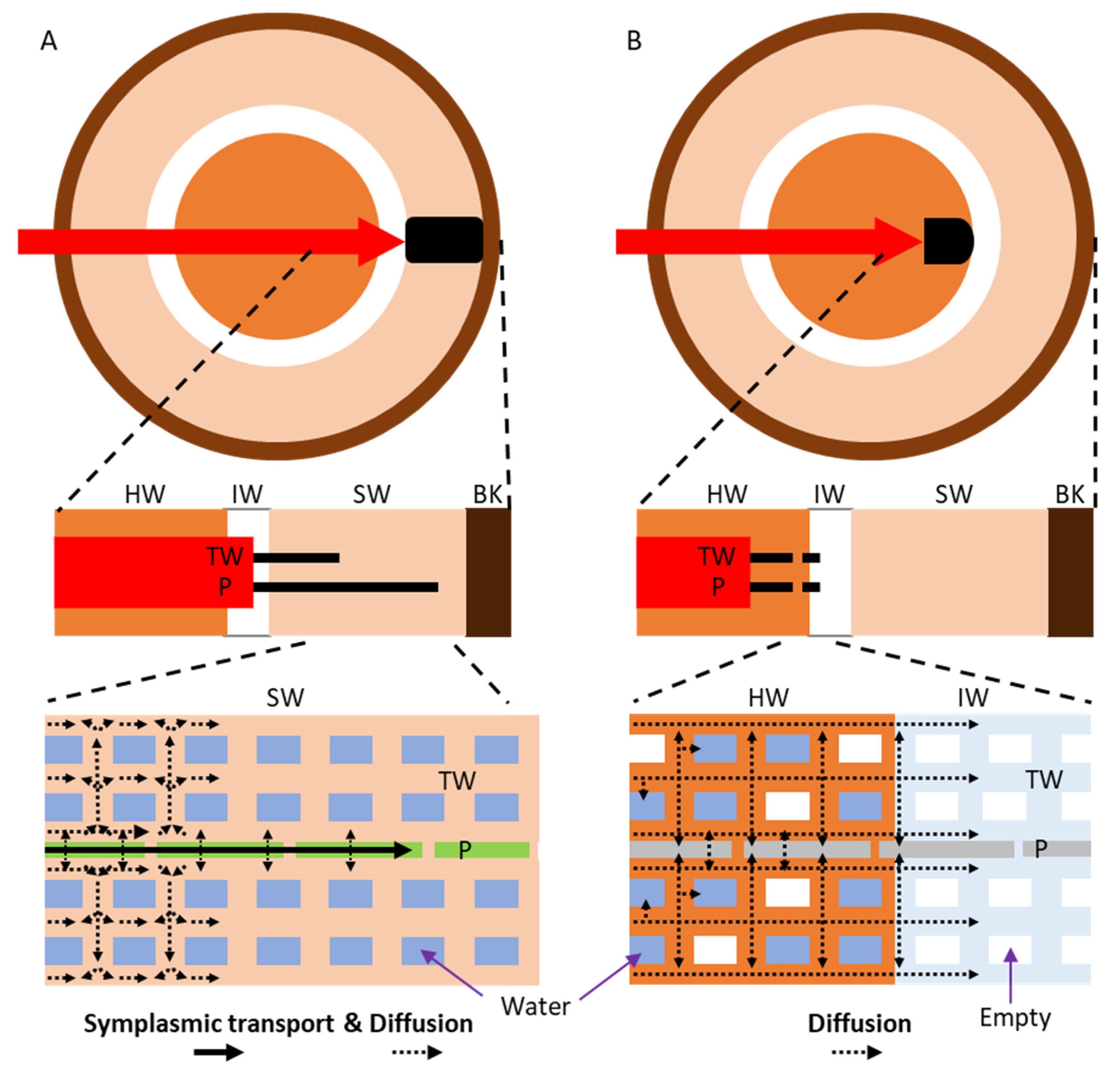 Forests 12 00251 g006 Forests 12 00251 g006