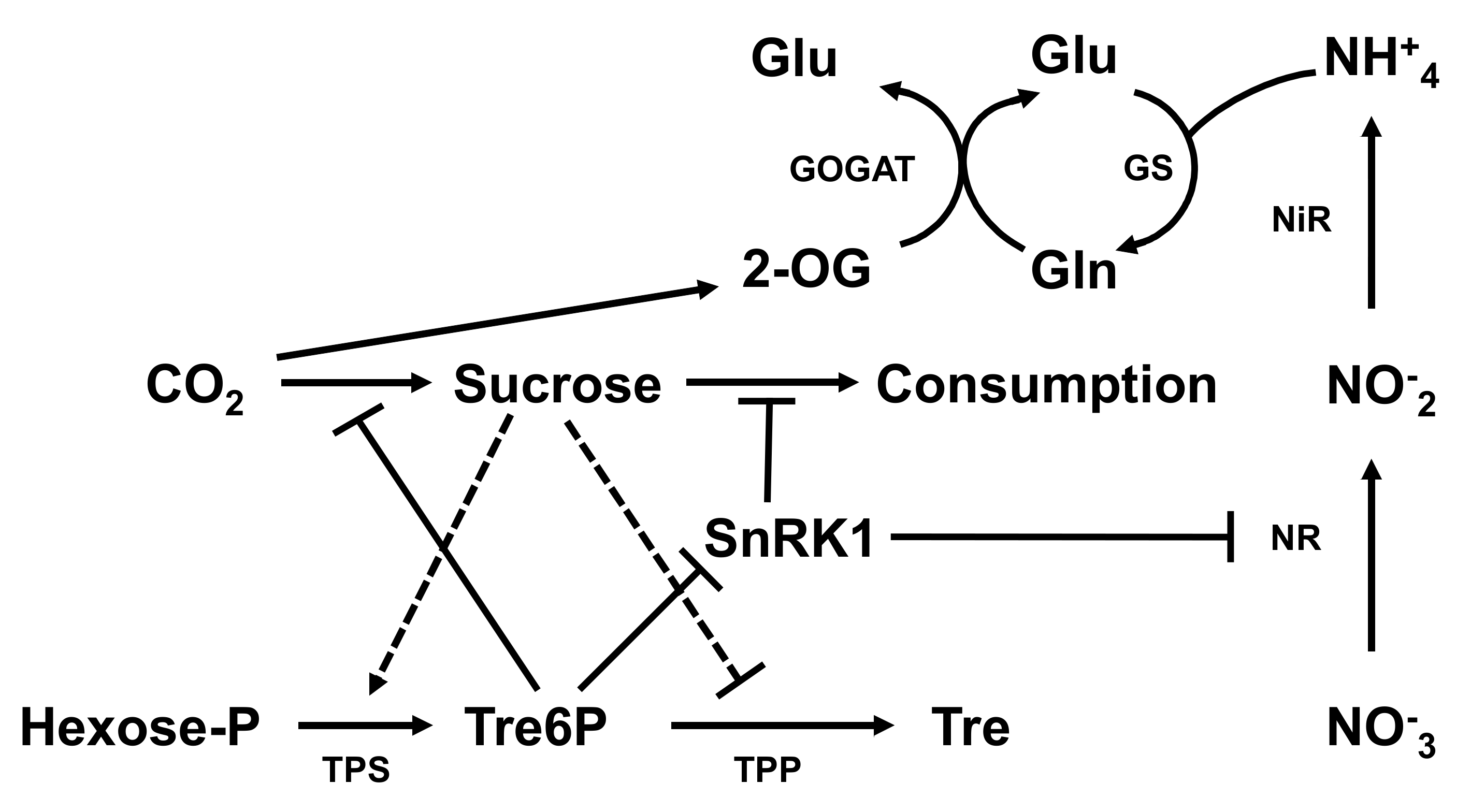 Forests 12 00257 g008