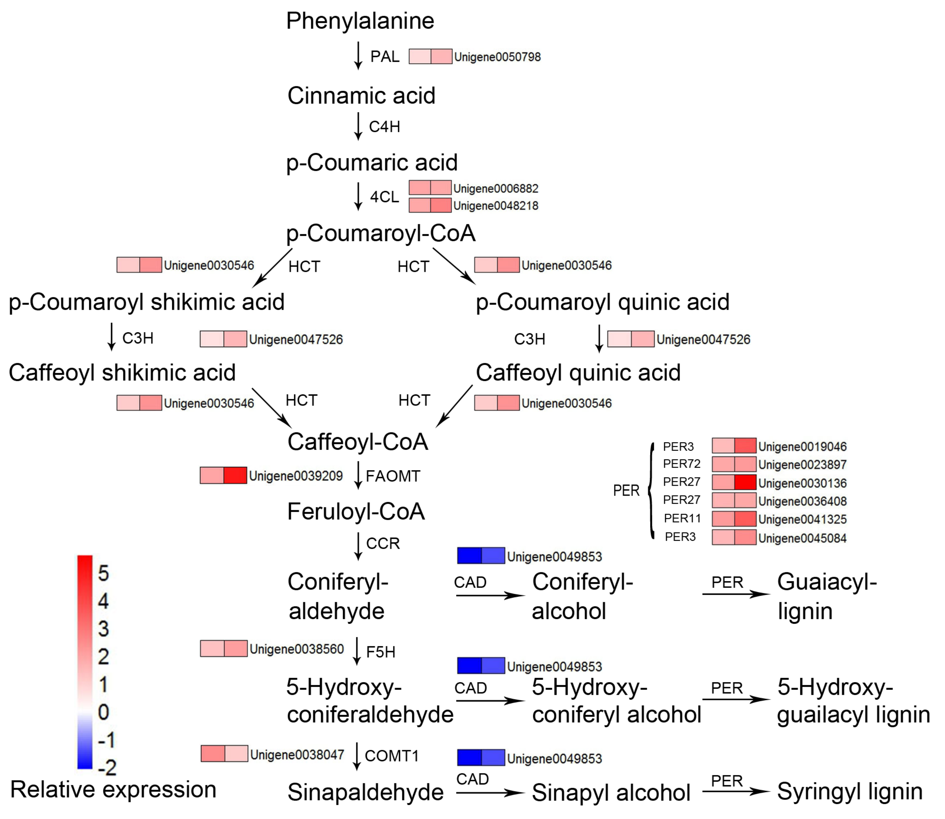 Forests 12 00257 g009